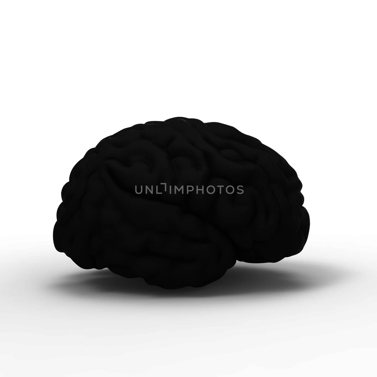 Human brain 3D model, isolated by totuss