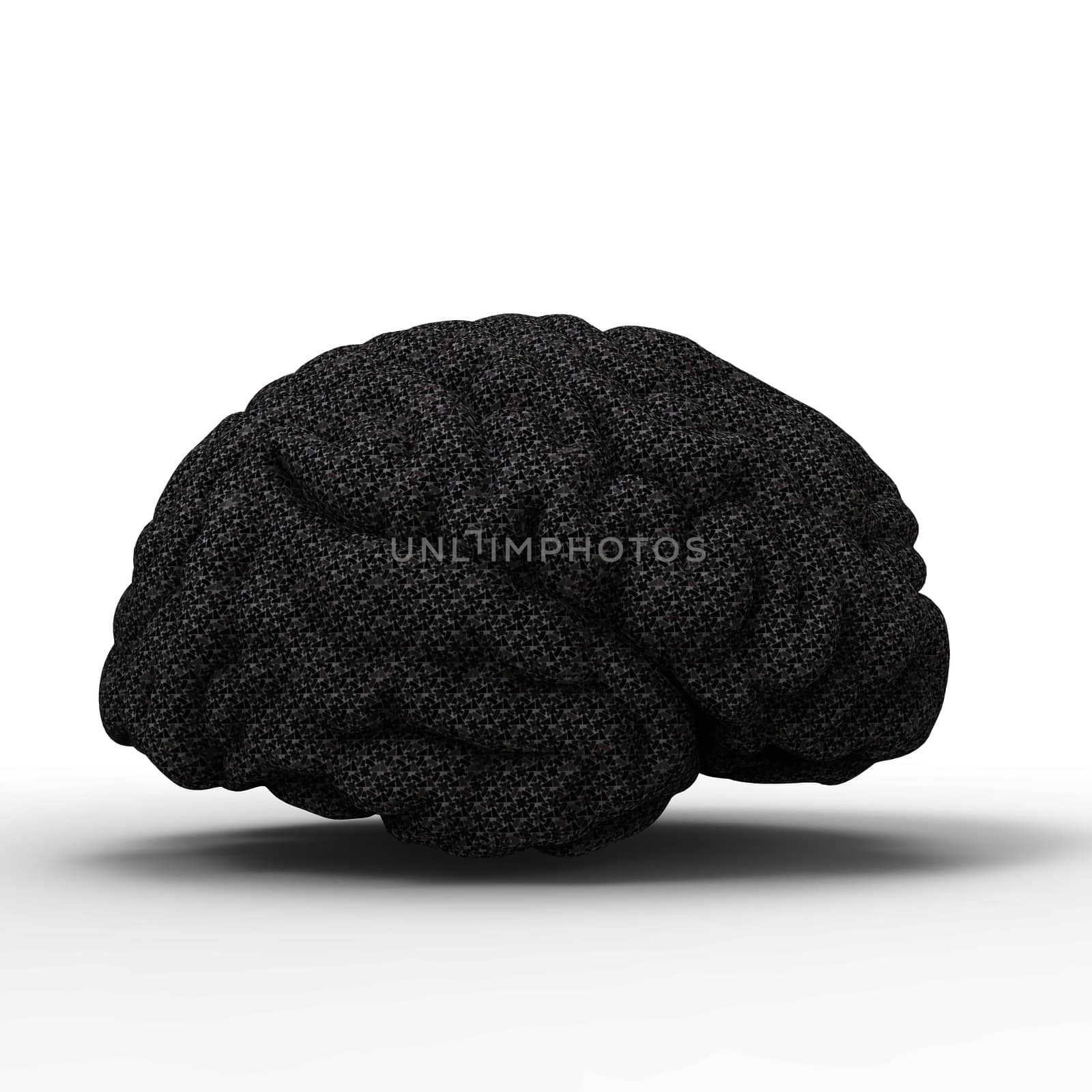 Human brain 3D model, isolated by totuss