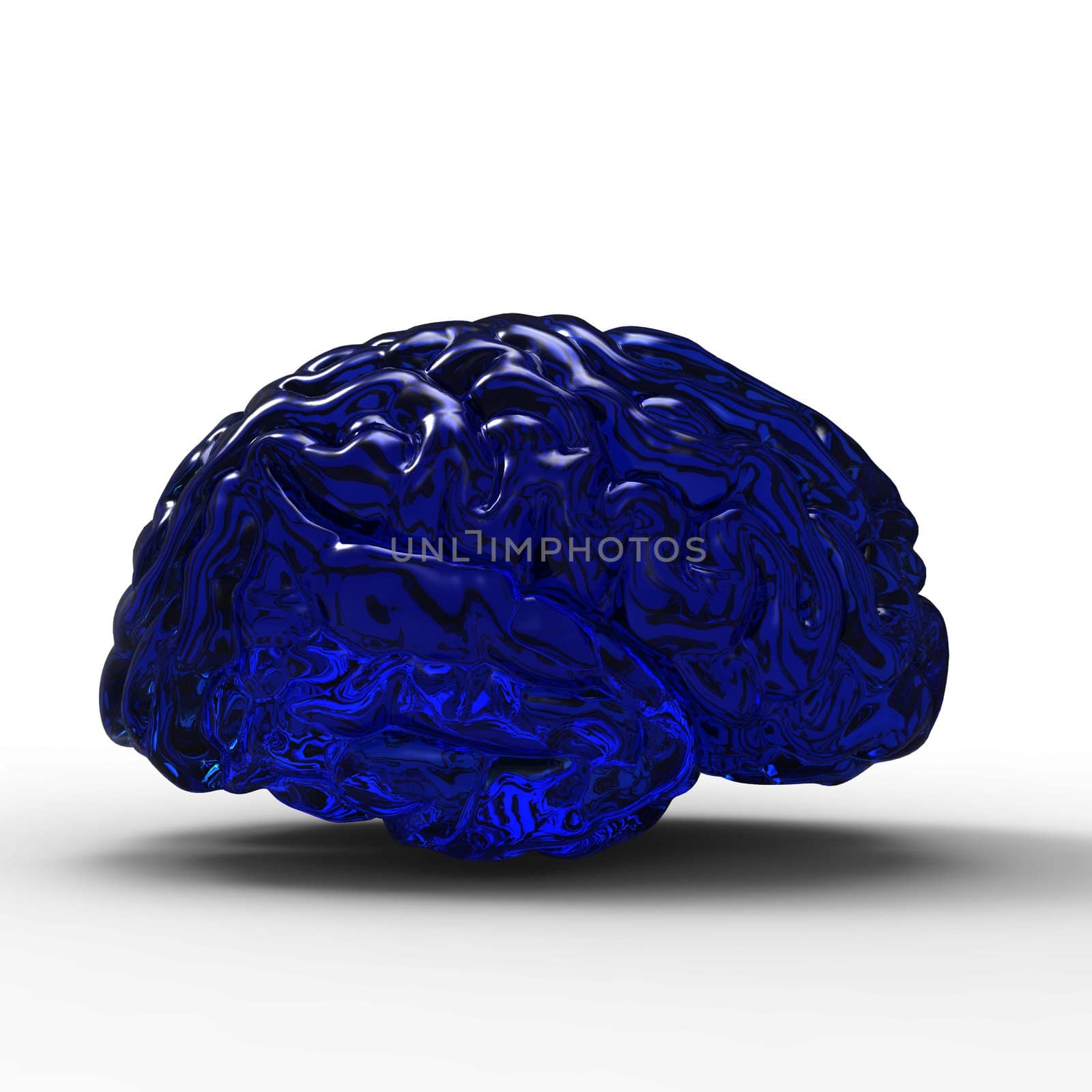 Human brain 3D model, isolated by totuss