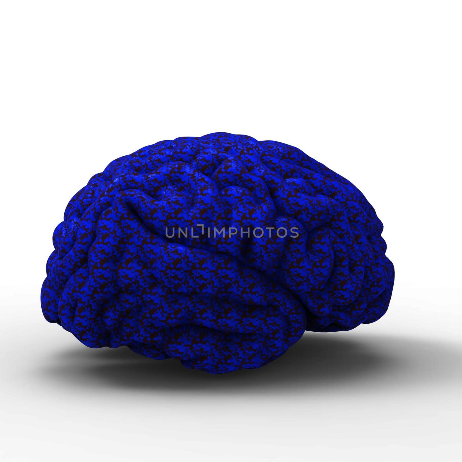 Human brain 3D model, isolated by totuss