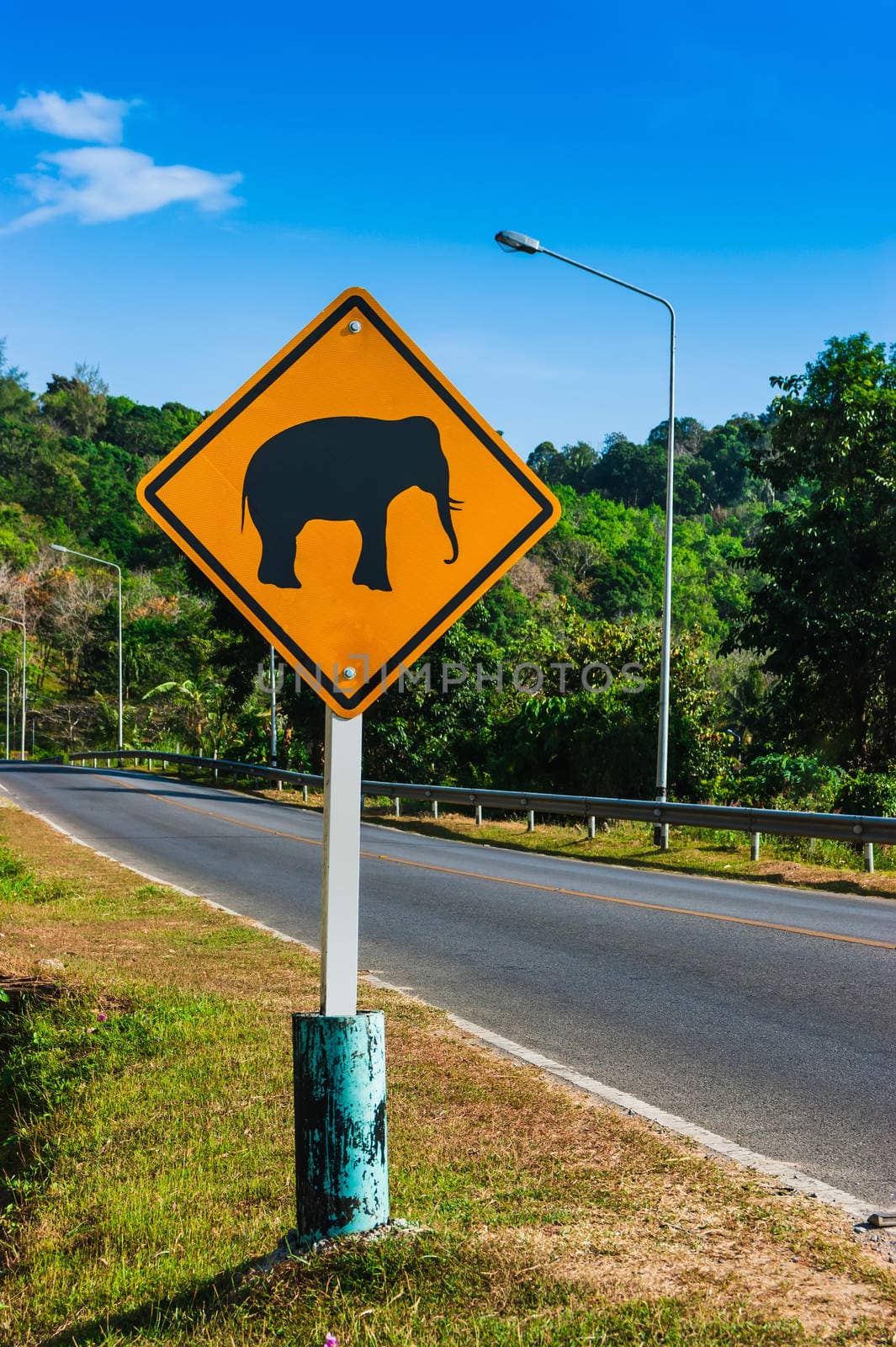 Road sign "caution elephants" on the track in Thailand