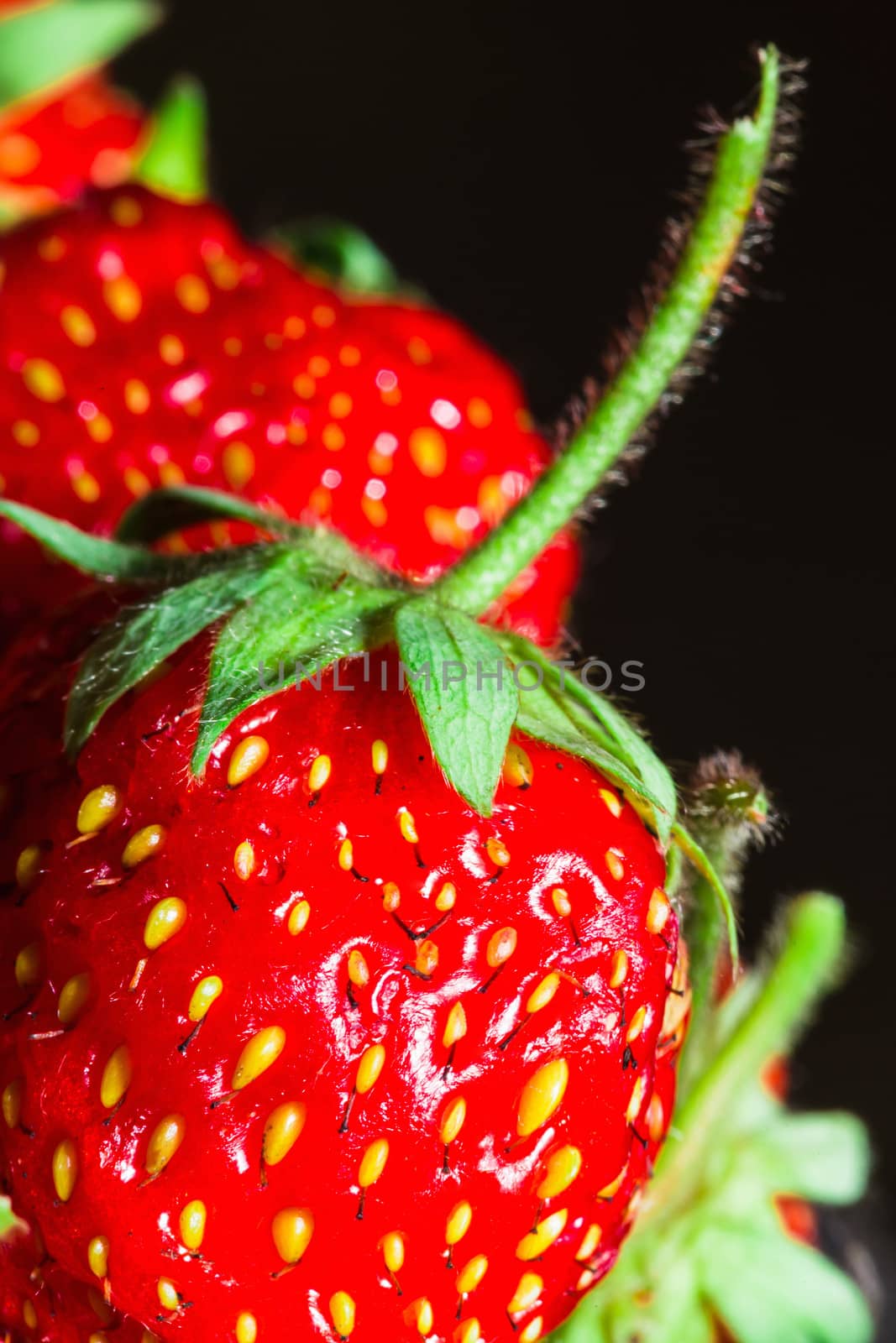 summer ripe juicy red strawberry close-up  by oleg_zhukov