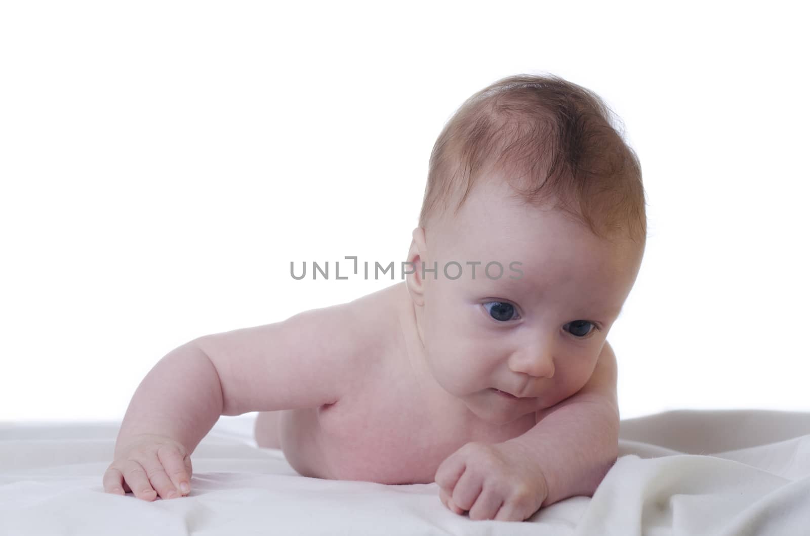 portrait of a baby boy on a blanket and white background