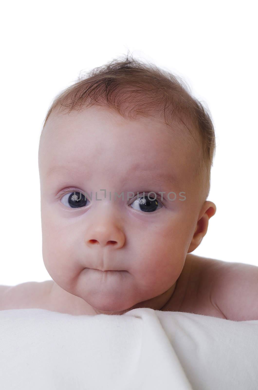 portrait of a baby boy on a blanket and white background