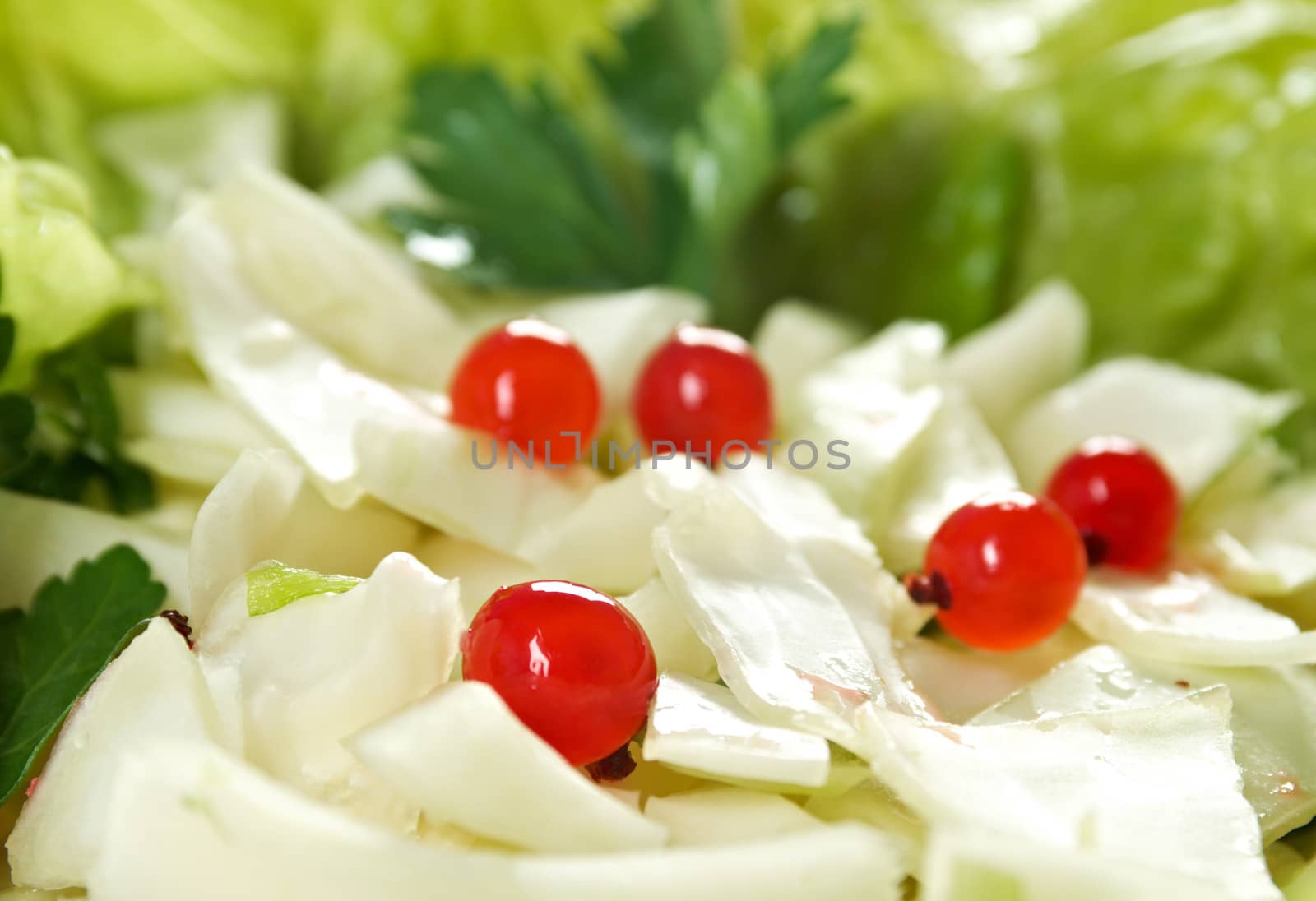 Spring  fresh 	farm-style vegetables salad of cabbage
