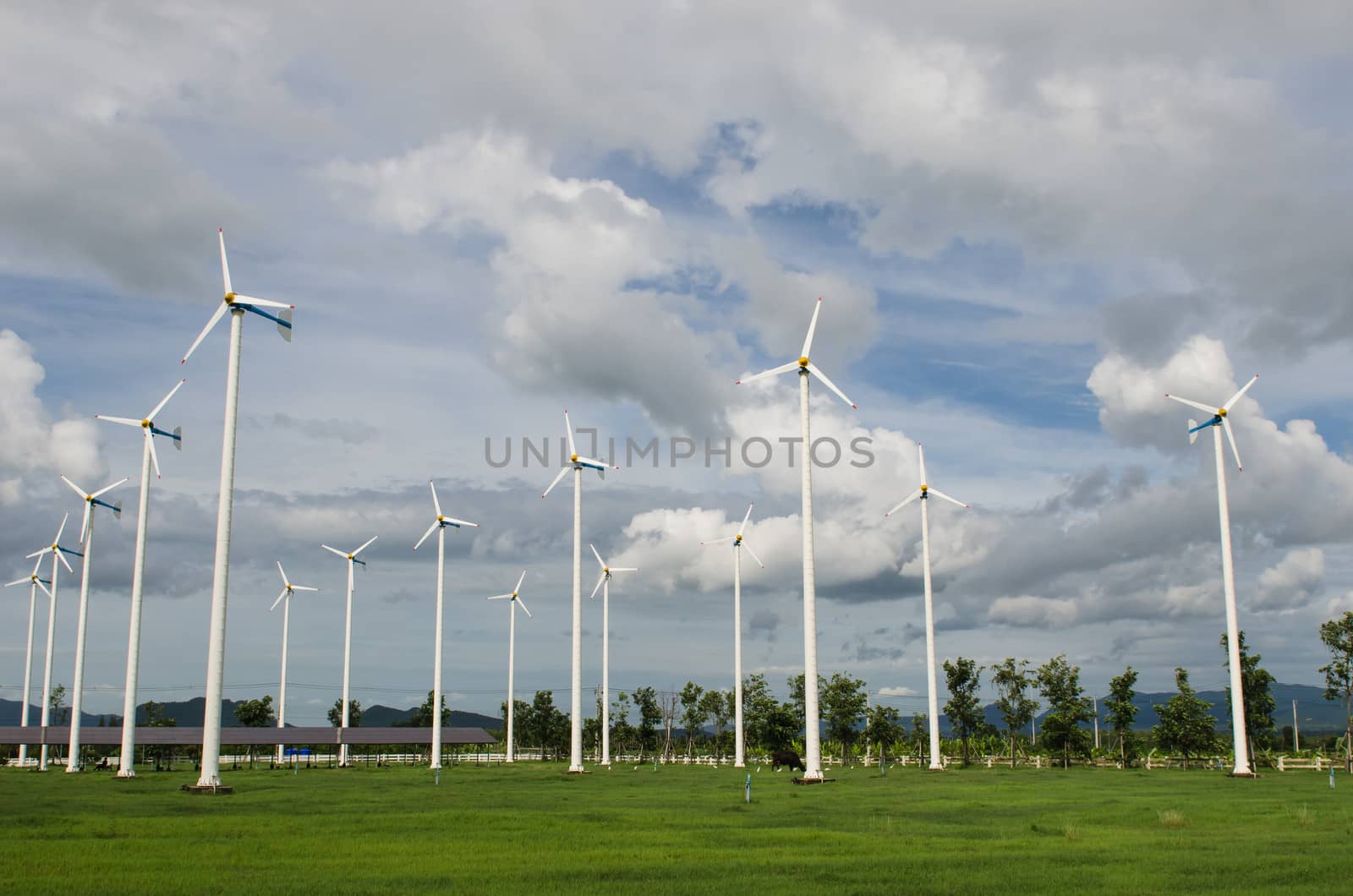 many white windmill in farmland
