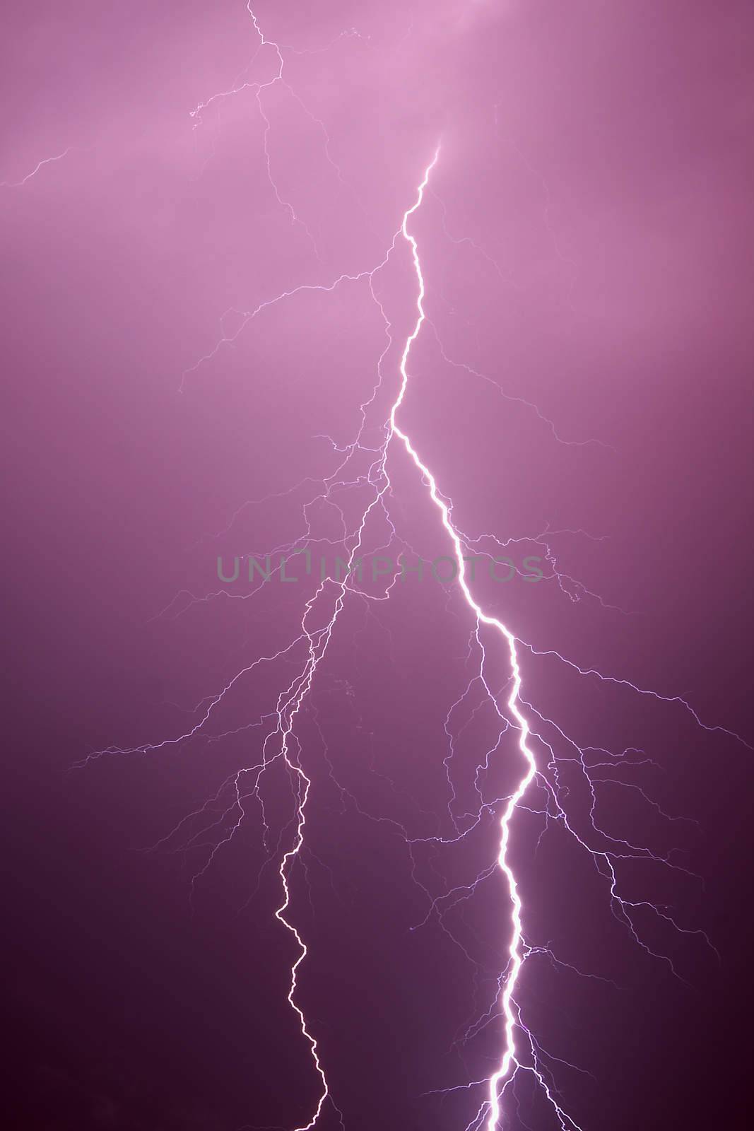Lightning by Gudella