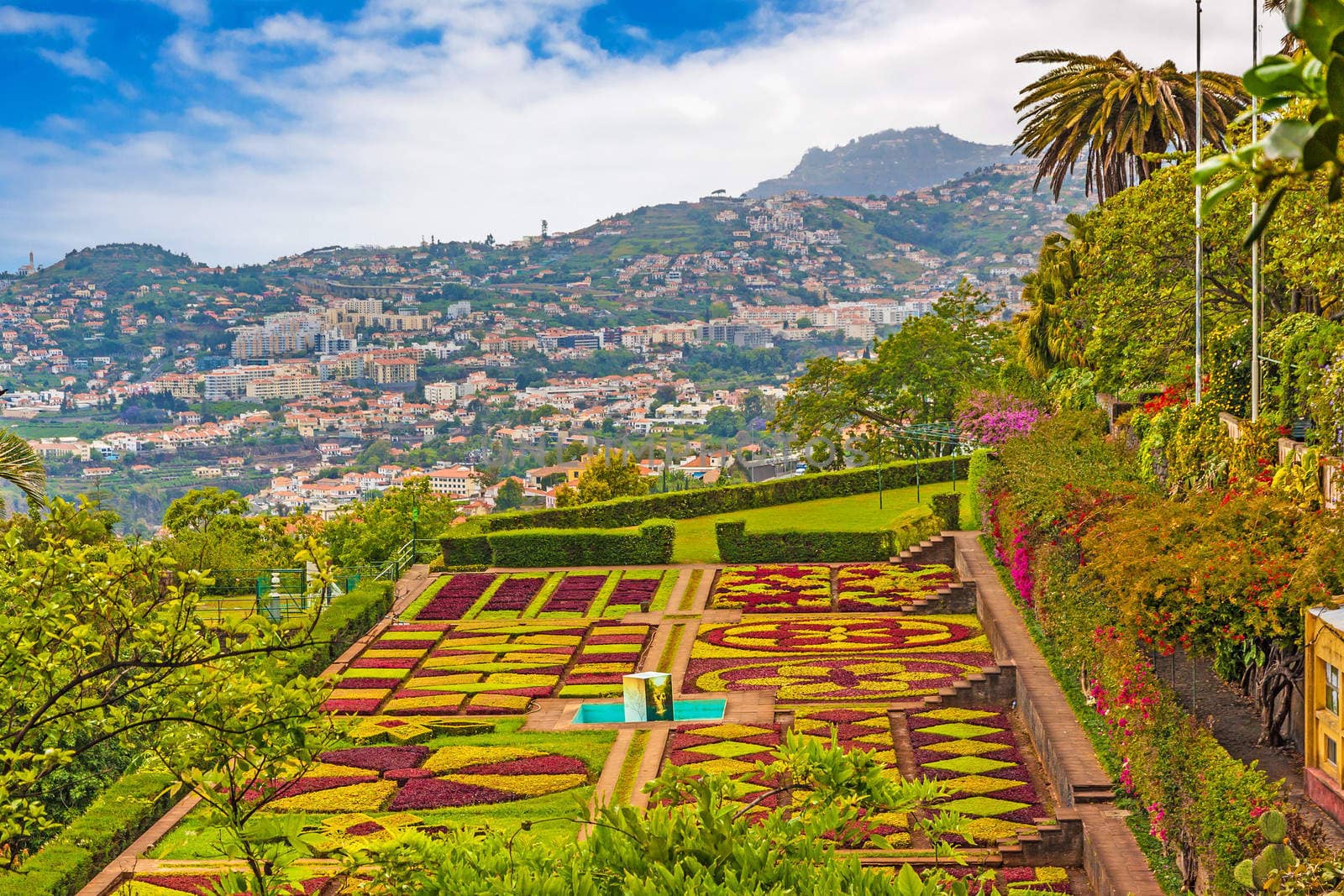 FUNCHAL, PORTUGAL, June 03: Botanical garden "Jardim Botanico" in Funchal, Madeira, Portugal on June 03, 2013. A famous tourist destination on the island Madeira.