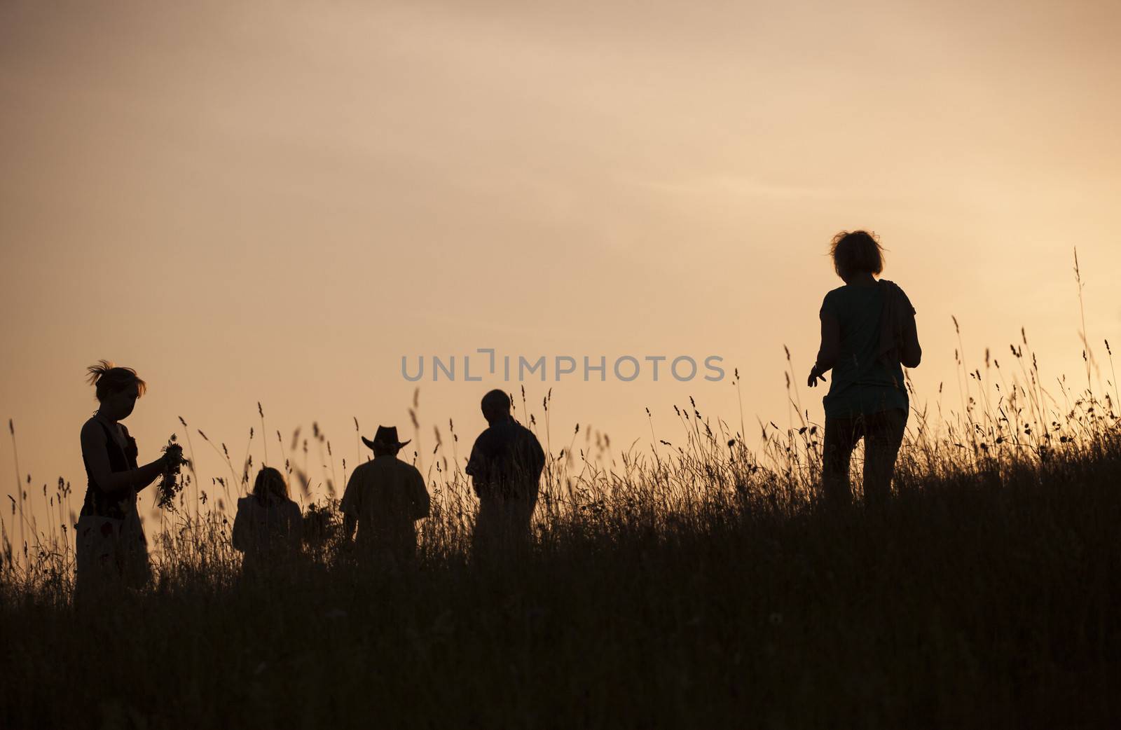 Silhouettes of People picking flowers during midsummer soltice by ints