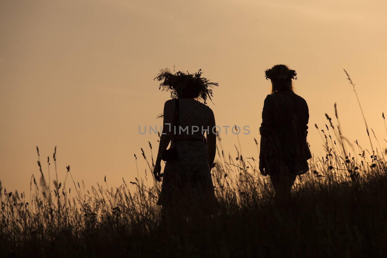 Silhouettes of People picking flowers during midsummer soltice celebraton against the background of sunset