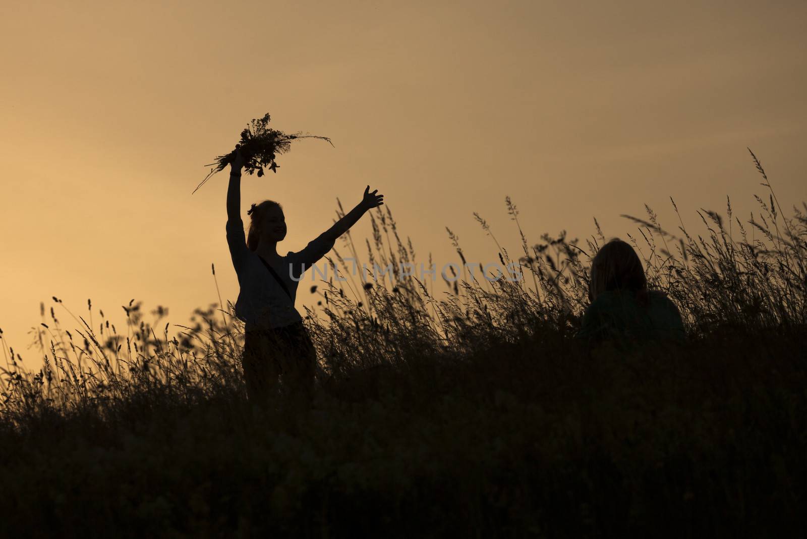 Silhouettes of happy girl picking flowers during midsummer soltice celebraton against the background of sunset