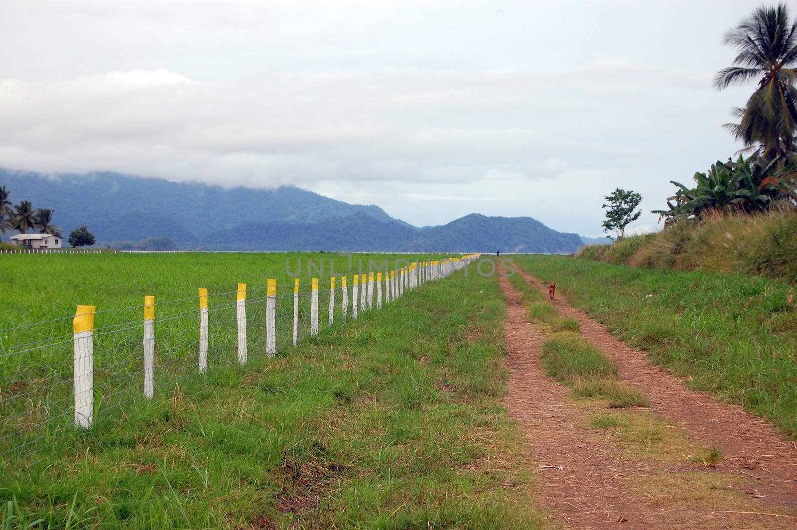 Gravel road along airfield fence, Papua New Guinea