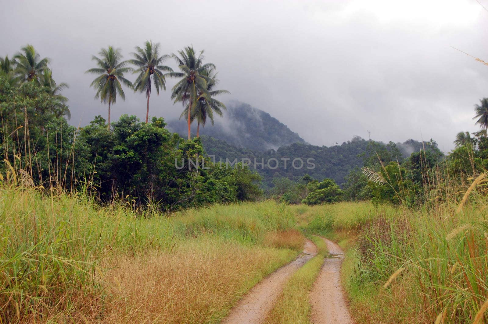 Gravel road in tropical outback, Papua New Guinea