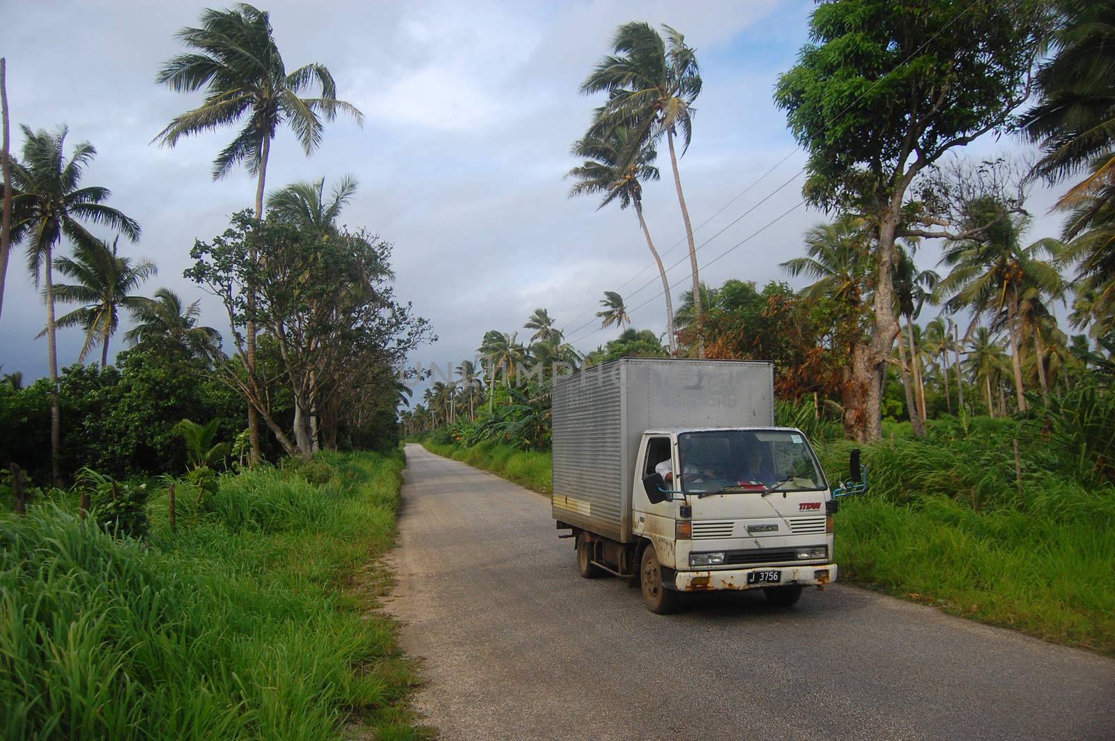 Truck at road in Tonga by danemo