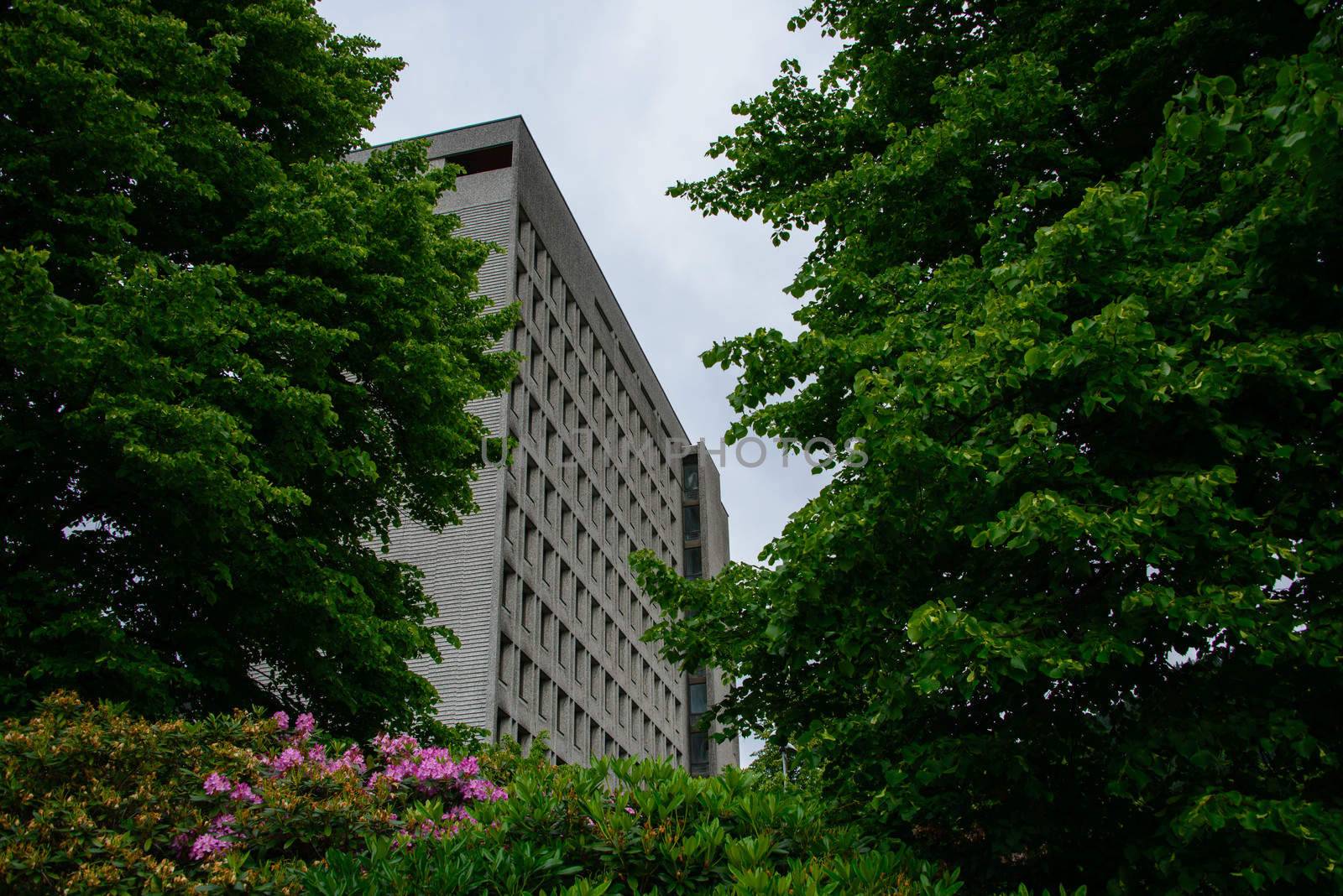 Bergen city hall Norway by GryT