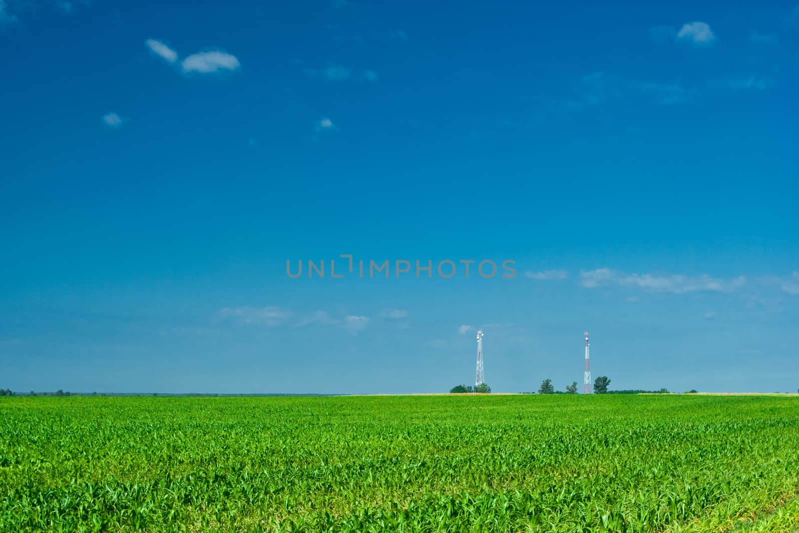 field corn and two Tower