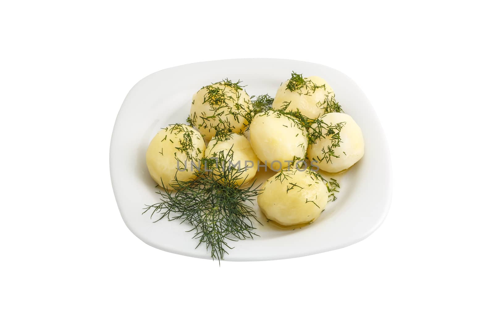 Boiled potatoes with dill on a white background. isolated
