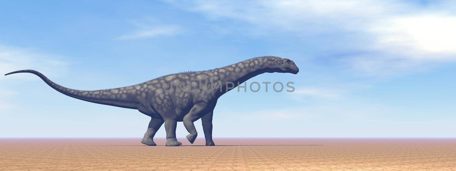 One argentinosaurus dinosaur standing in the desert by daylight