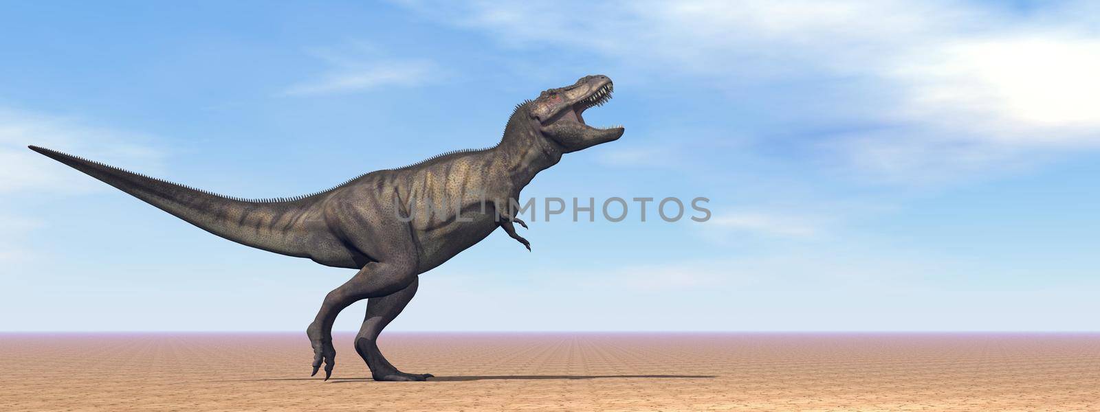 Tyrannosaurus dinosaur in the desert - 3D render by Elenaphotos21