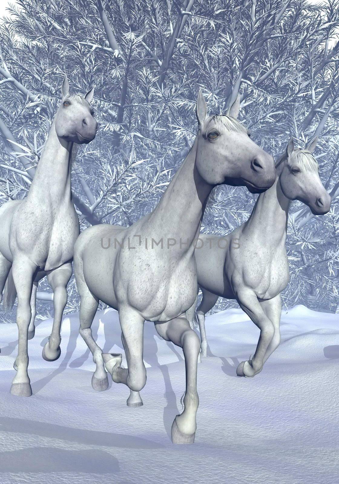 Beautiful white horses galloping in front of the woods by winter