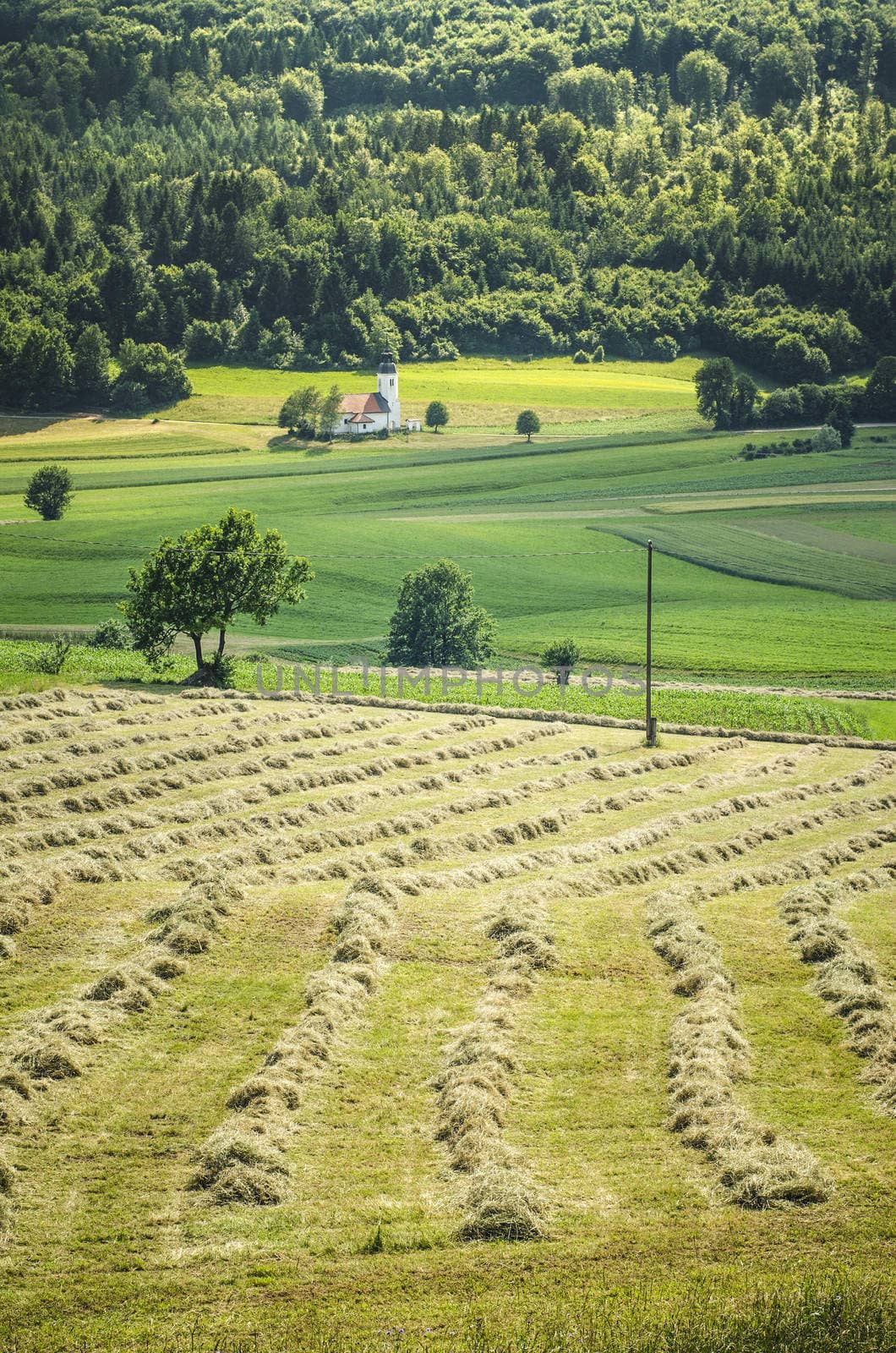 Cultivated fields with isolated church in the background.