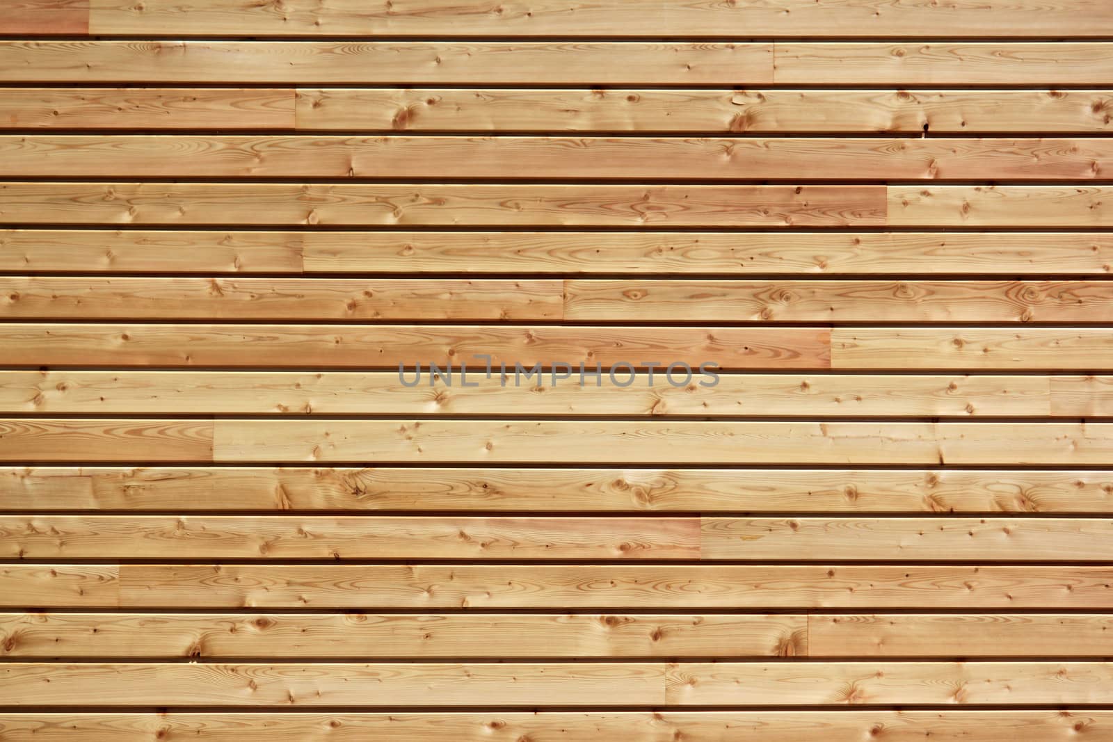 a wall made ​​of natural wood for the construction of an ecological house