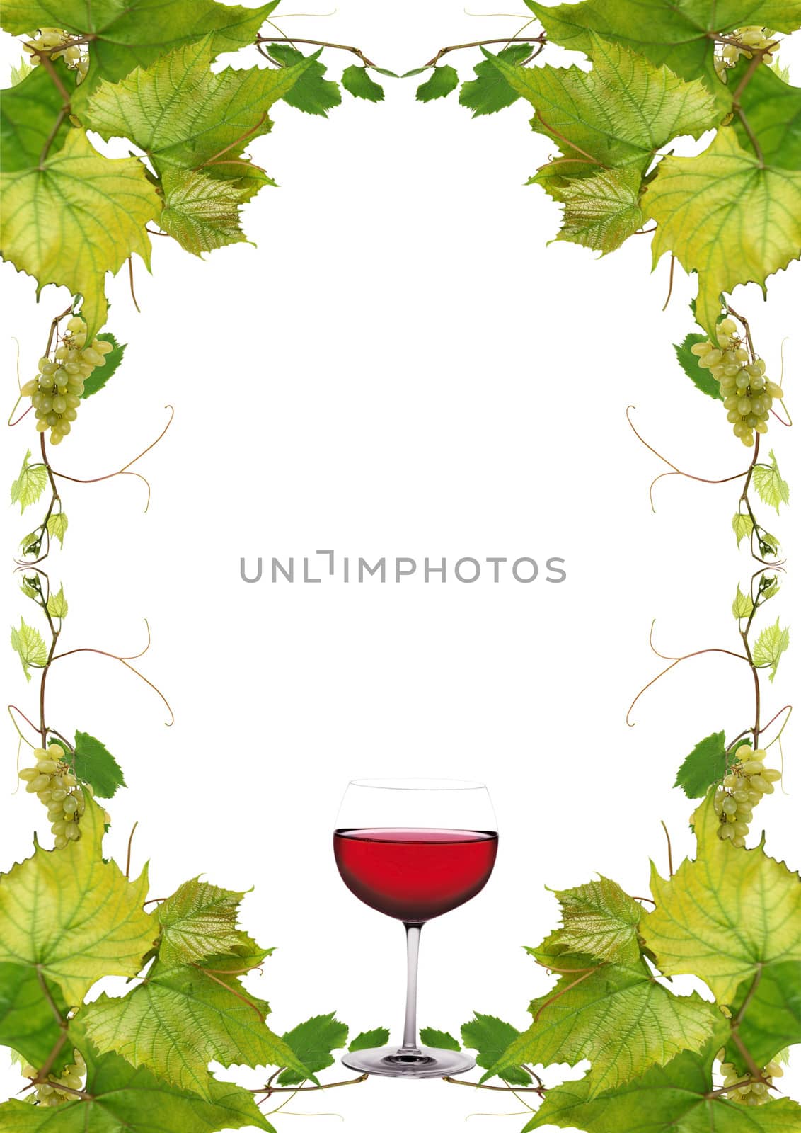 vine leaves and grapes for wine list in a fast food