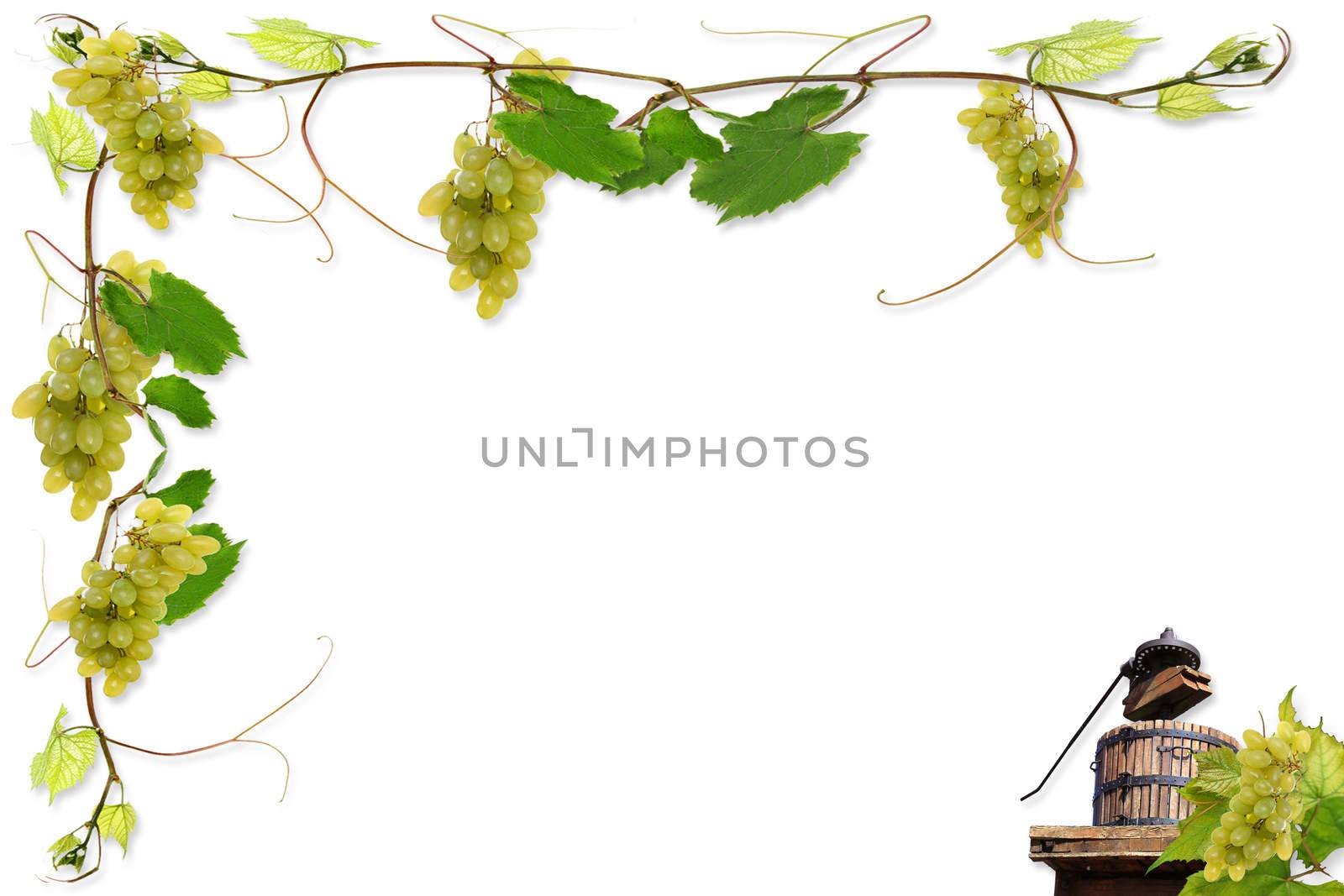 vine leaves and grapes for wine in a fast food