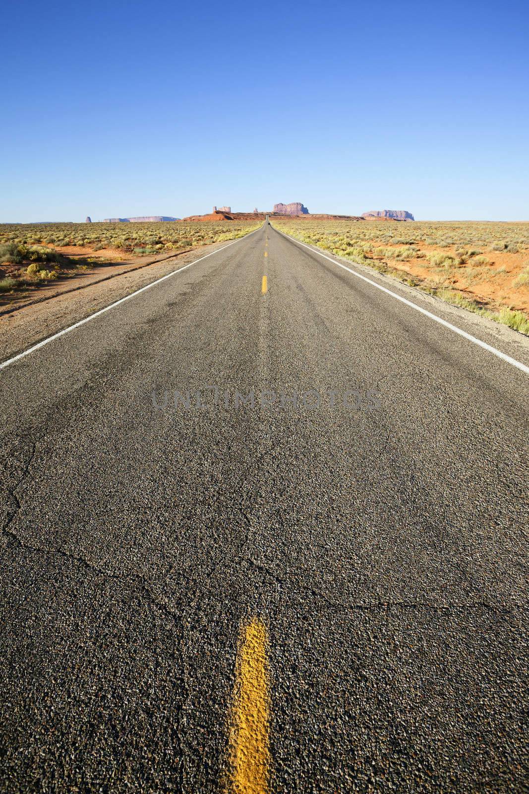 vertical view of long american road to monument valley, USA