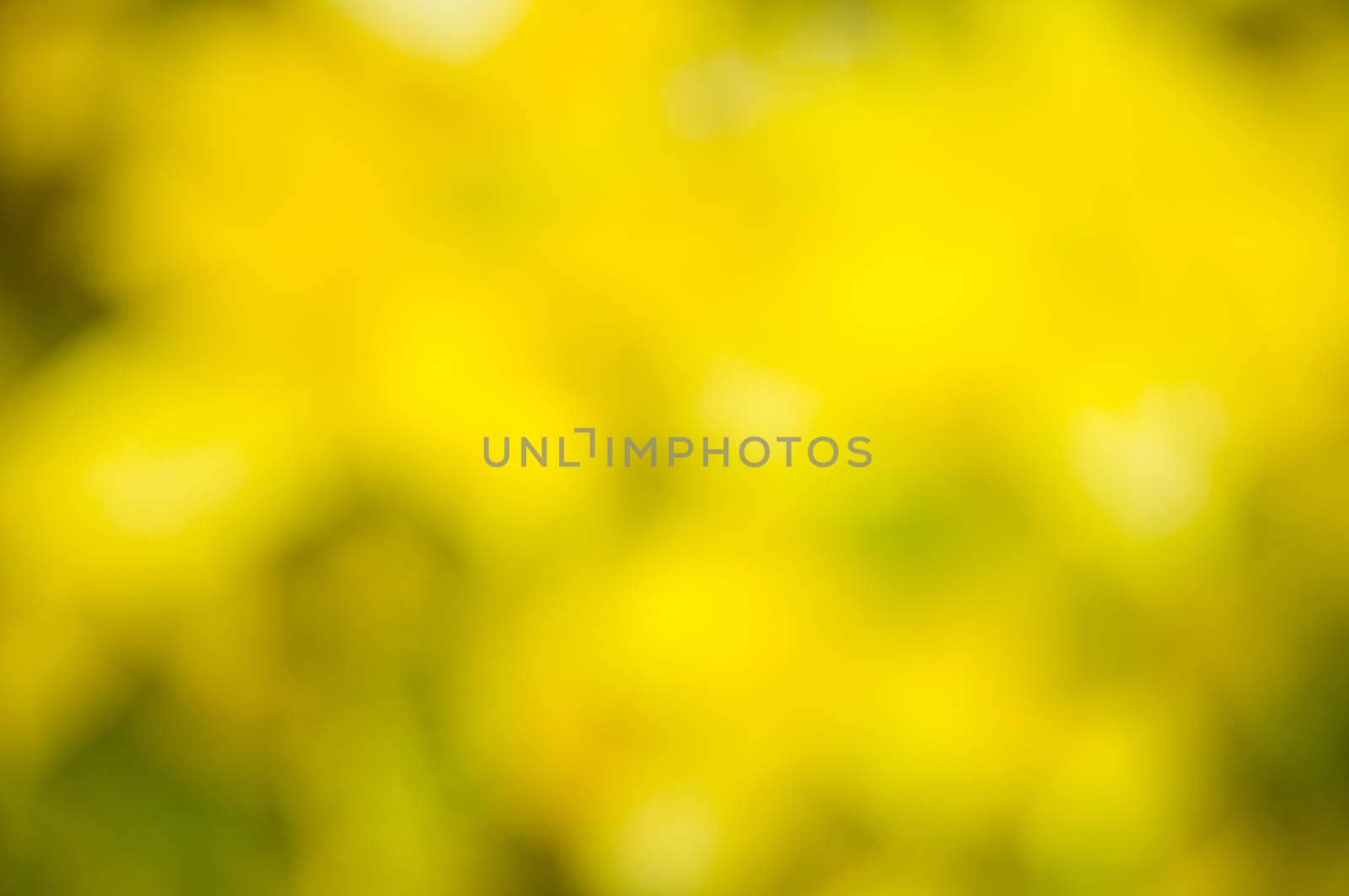 Defocus of yellow light by buffaloboy