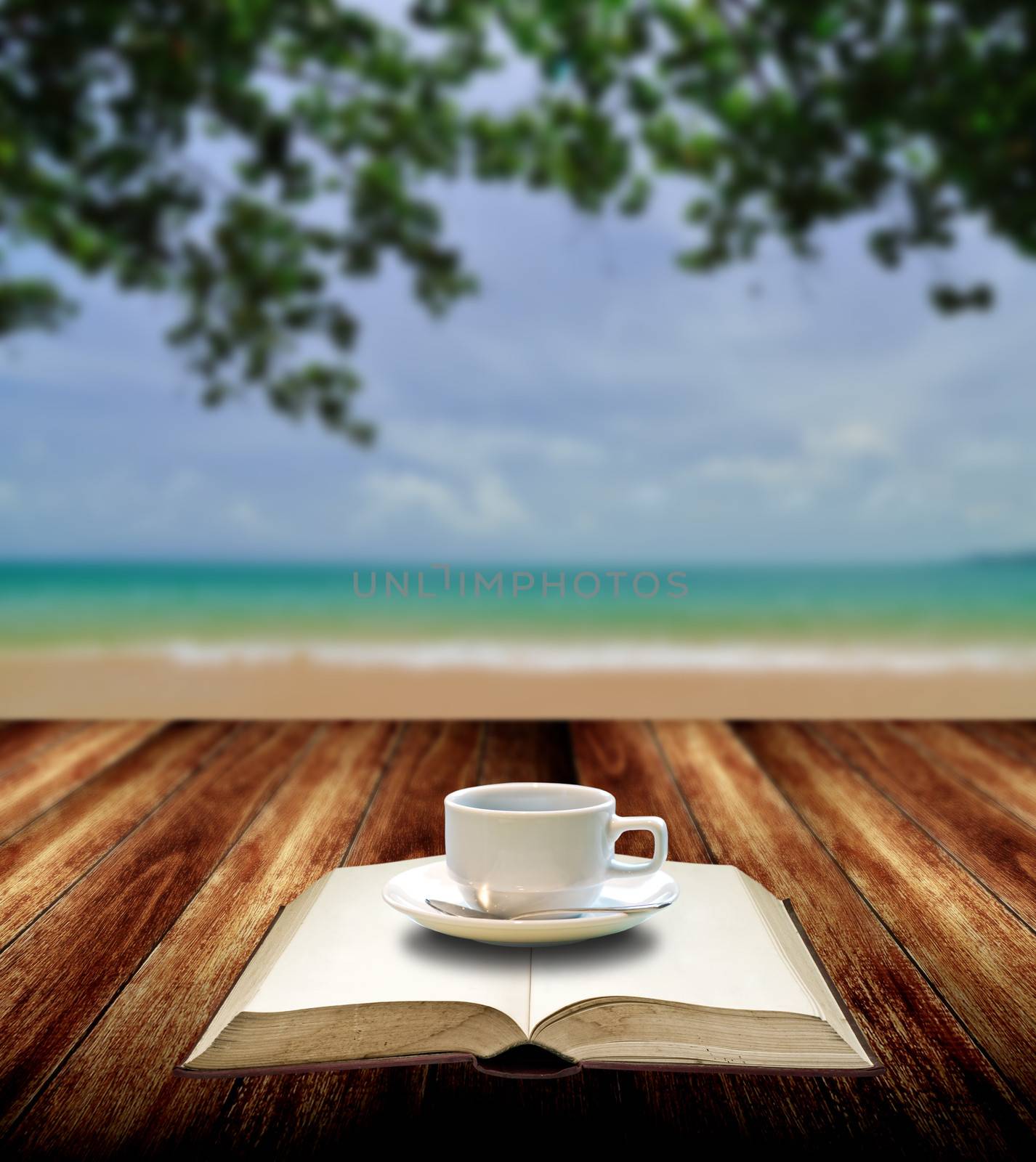 Drink coffee and read book with nice sea view by pixbox77