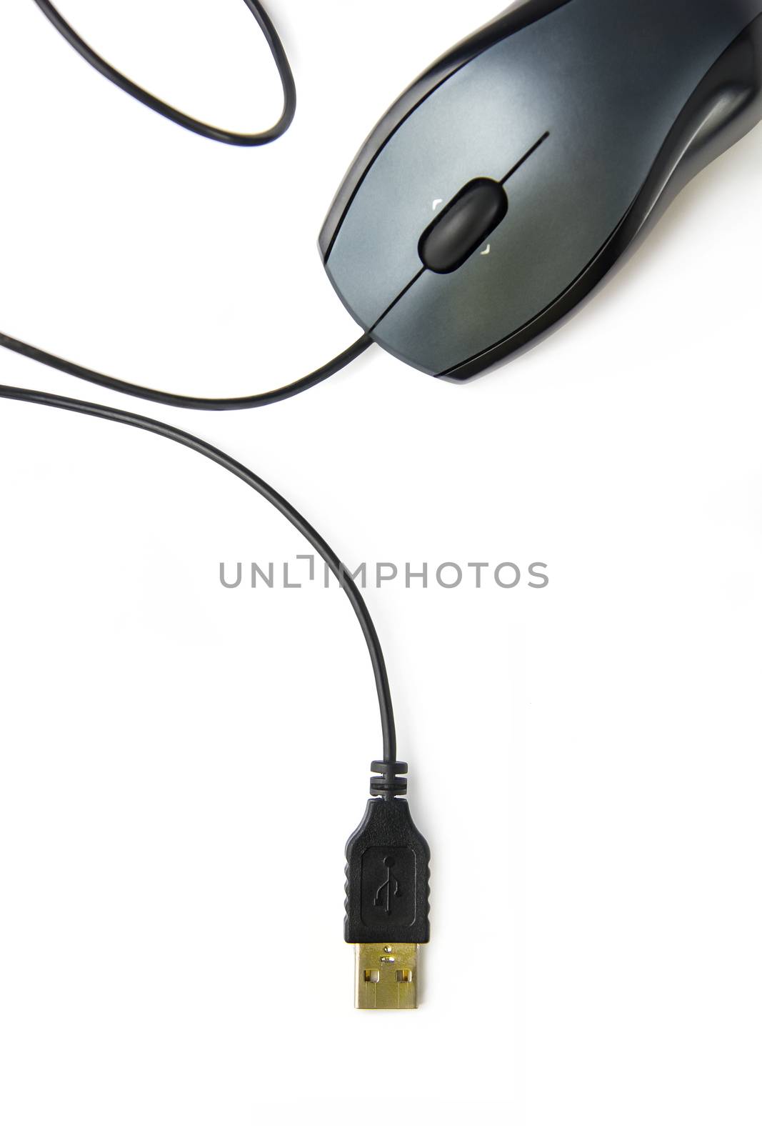 Mouse  on white background