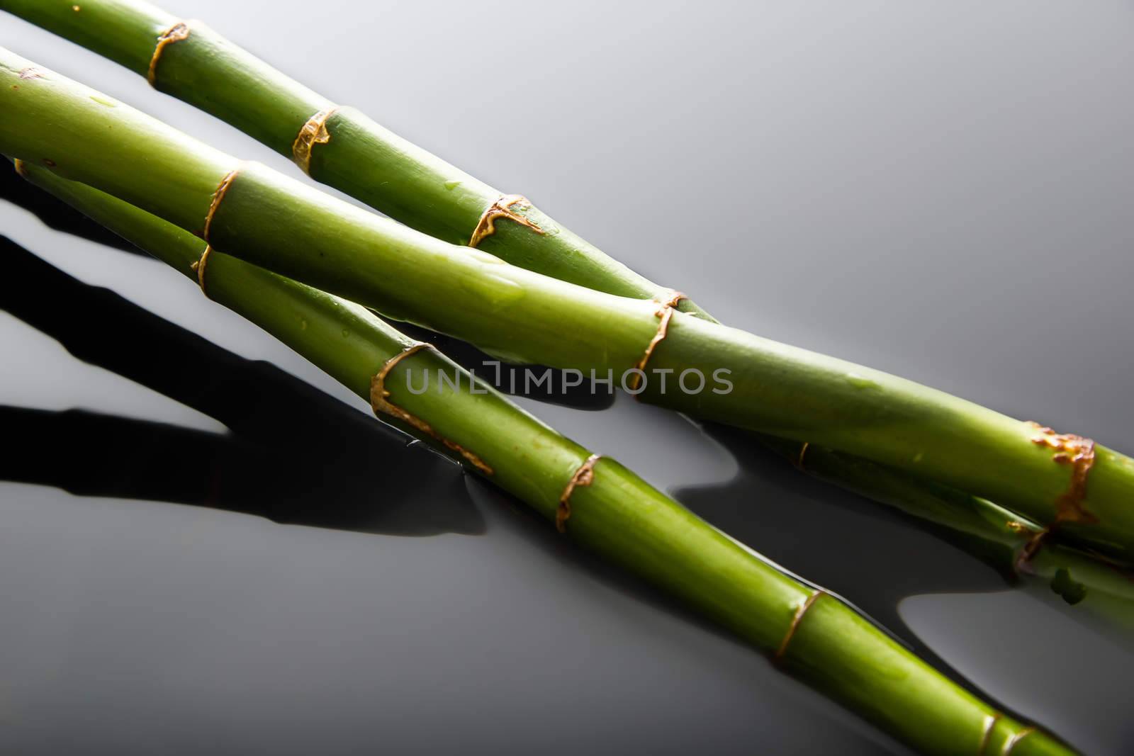 Bamboo background by dynamicfoto