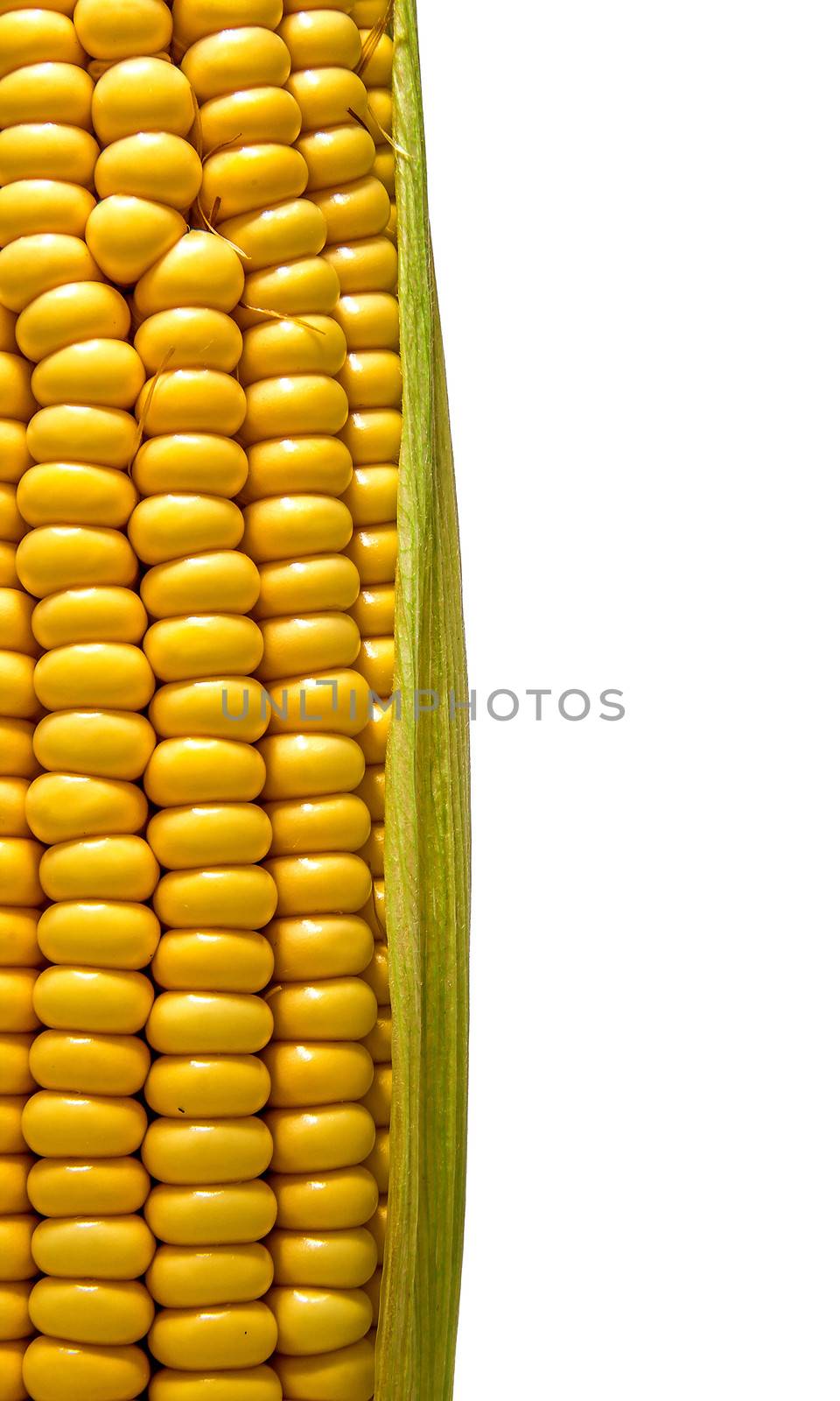 Cob isolated on white background