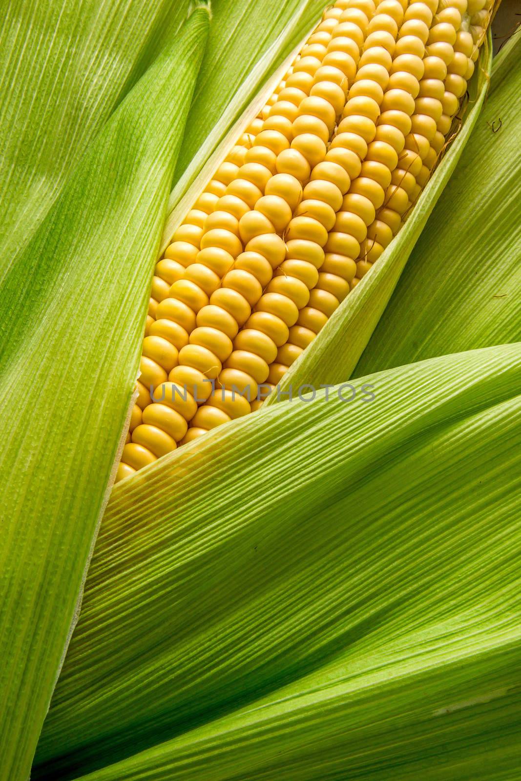 Fresh cob between green leaves