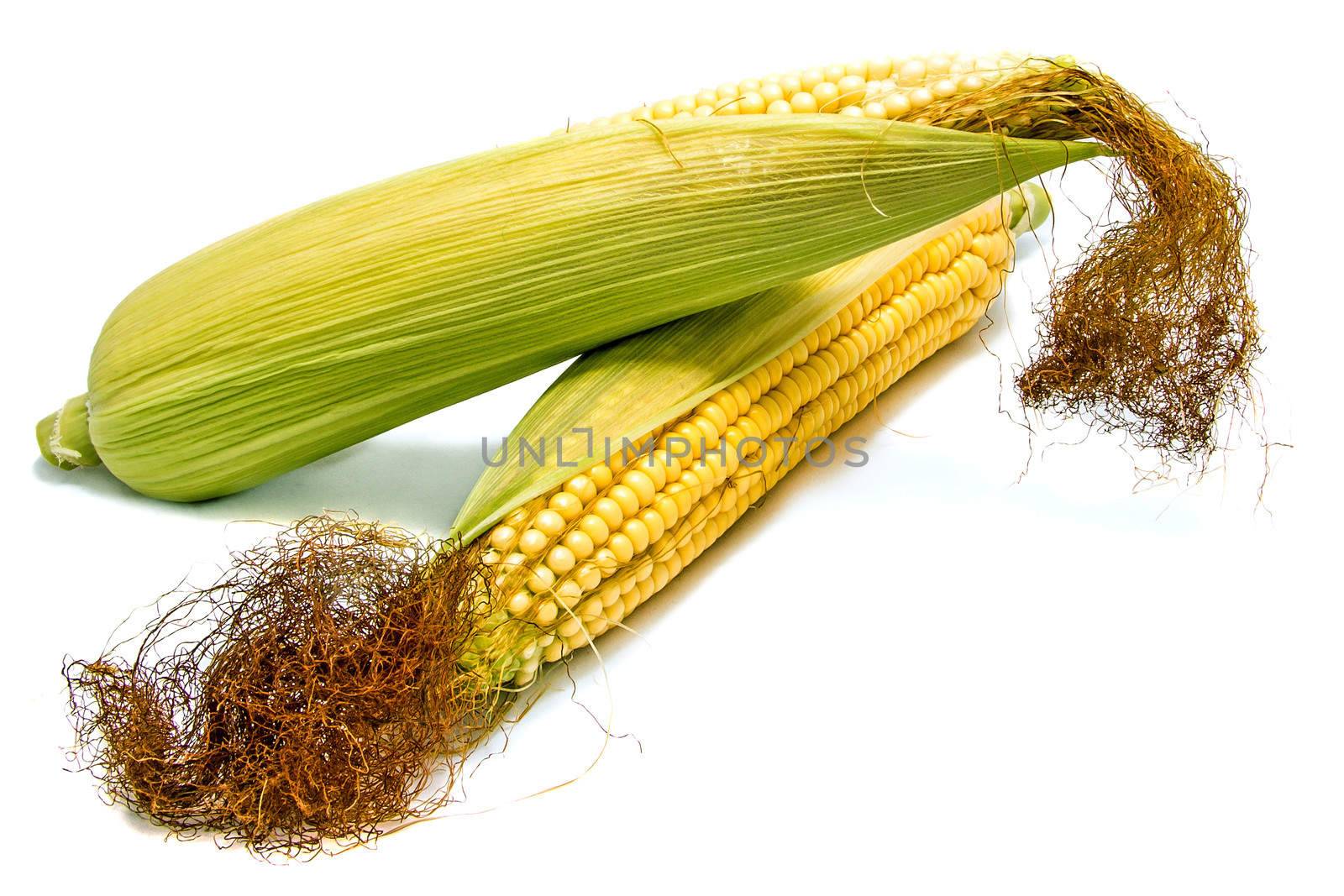 Cob isolated on white background