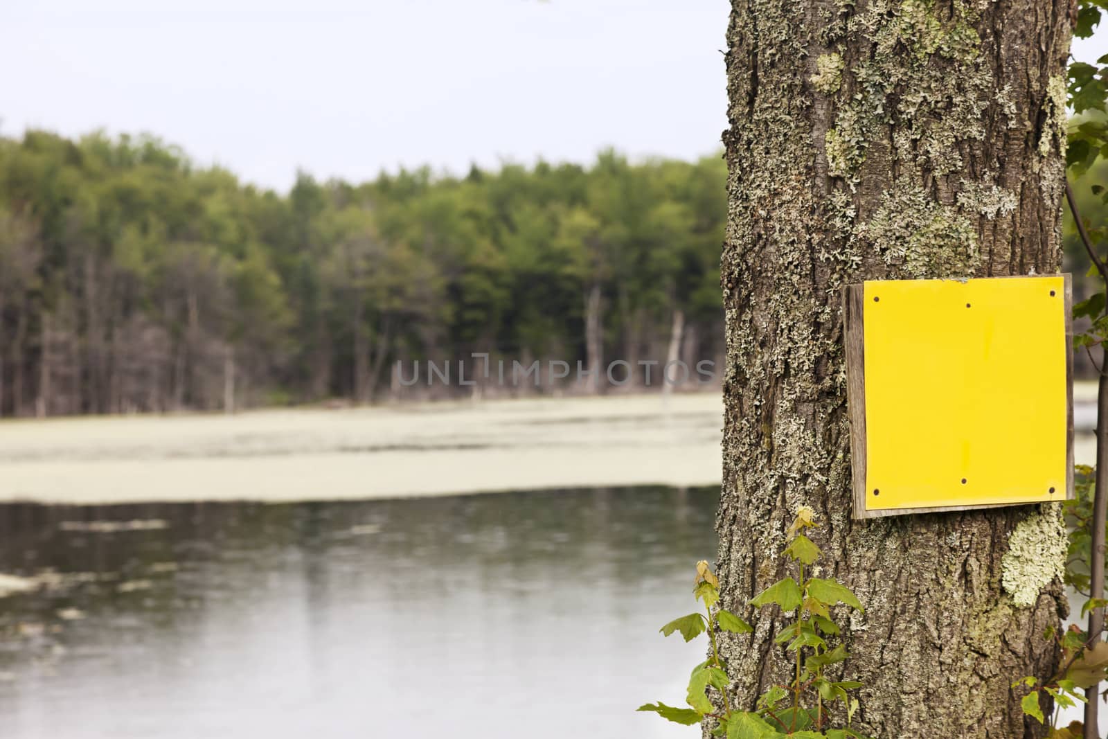 Rural Yellow Sign by mothy20