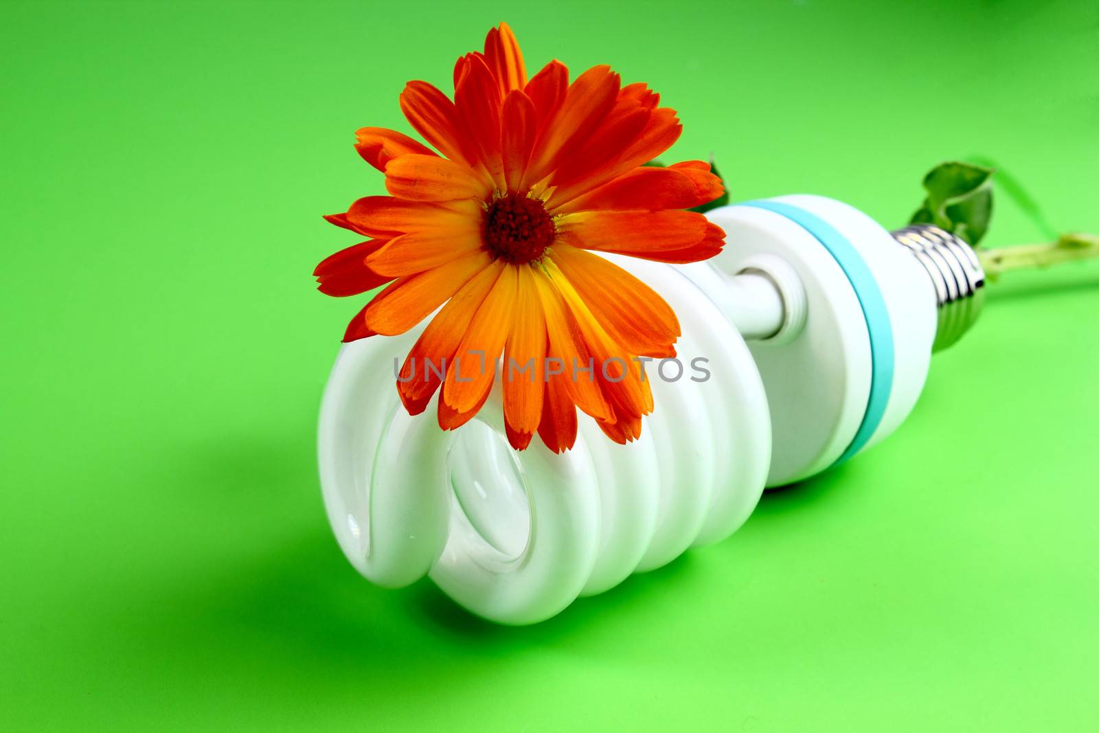 Economic light bulb, environmentally friendly concept