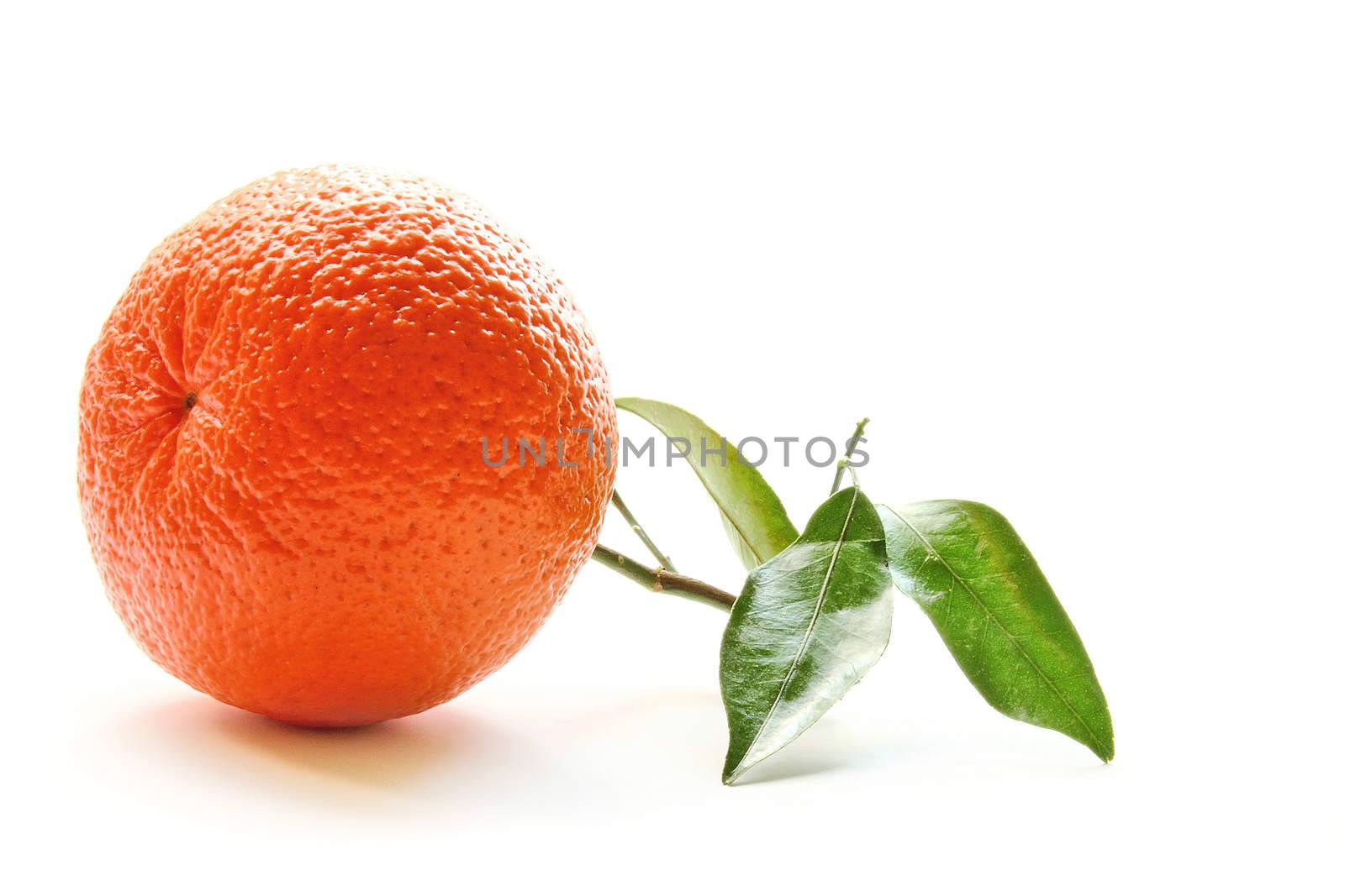 Orange with leaf by dynamicfoto