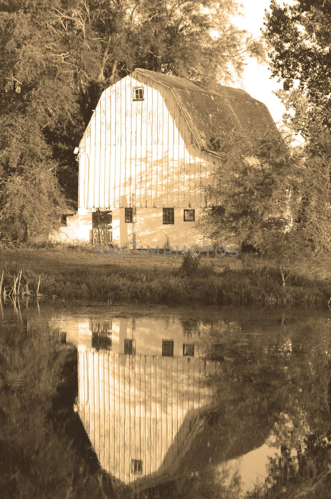 sepia barn reflecting in a pond in the countryside by ftlaudgirl