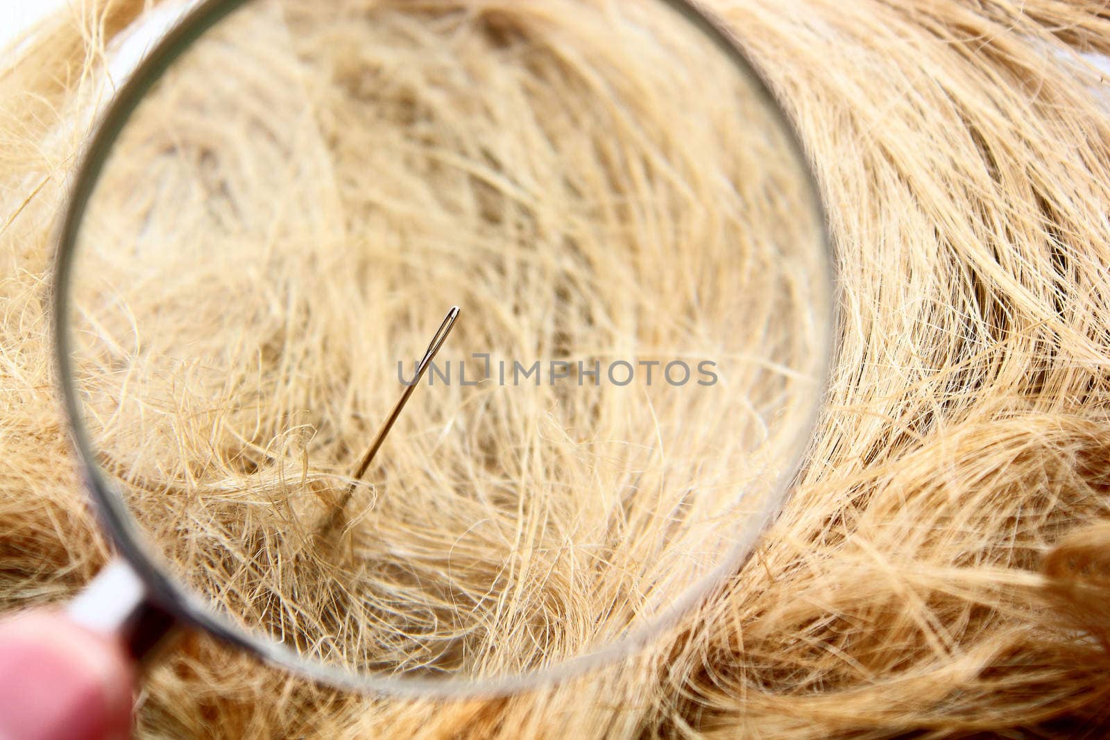 Magnification glass, needle and haystack composition