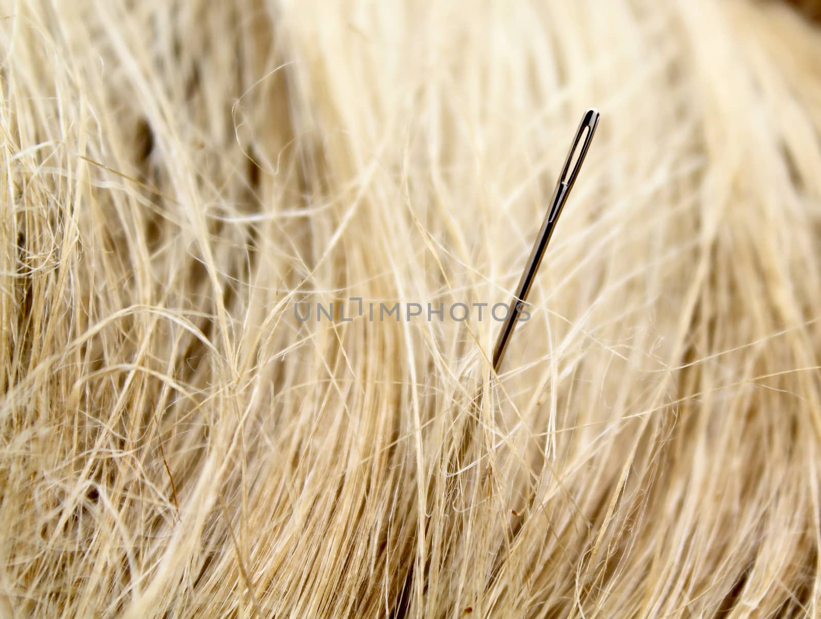 Needle in the middle of a haystack