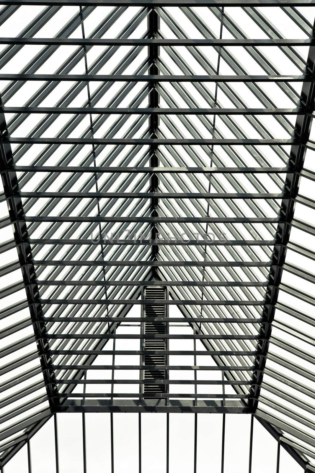 Modern glass roof in black and white tones