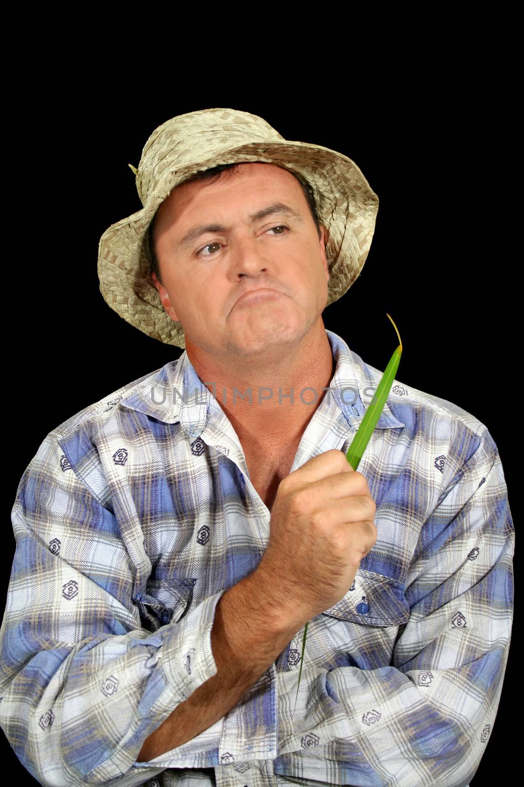 Farmer with an inquiring look and blade of grass.