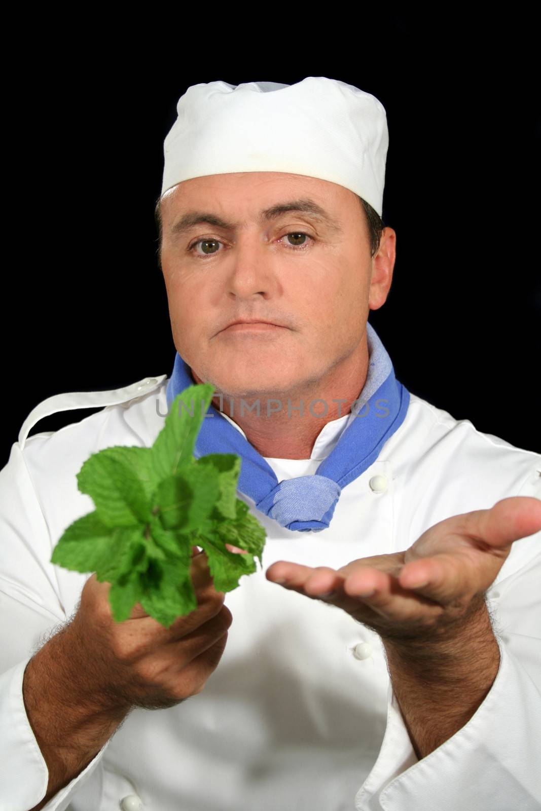 Chef showing fresh mint to a customer. 