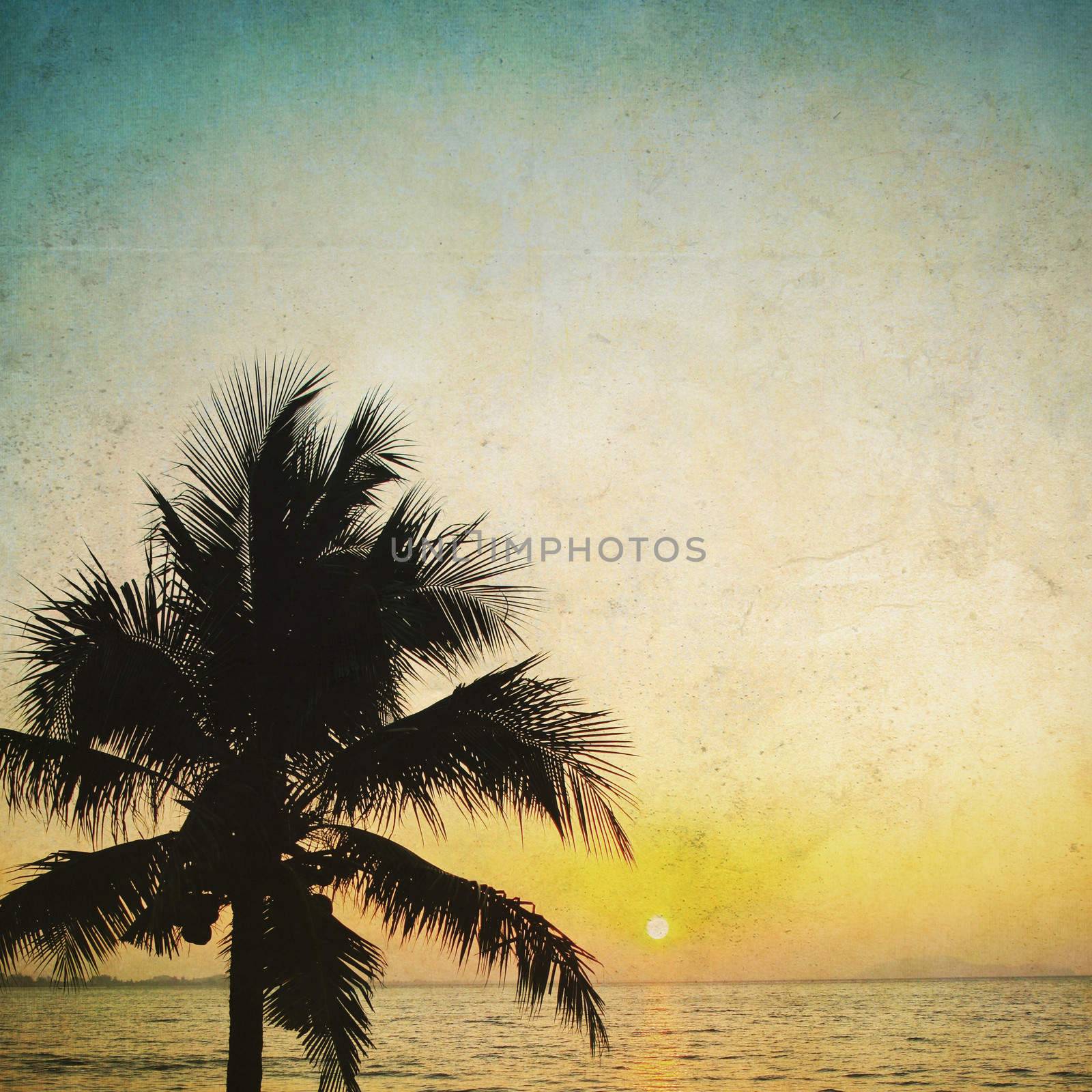 Coconut palm tree silhouetted and sunrise 
in vintage background