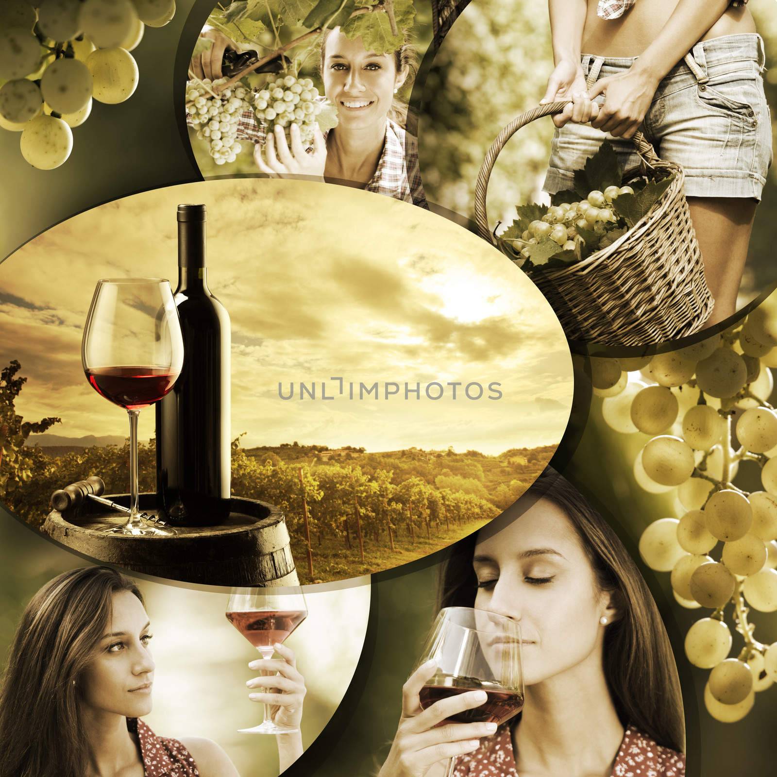 Wine collage, beautiful collection of wine images