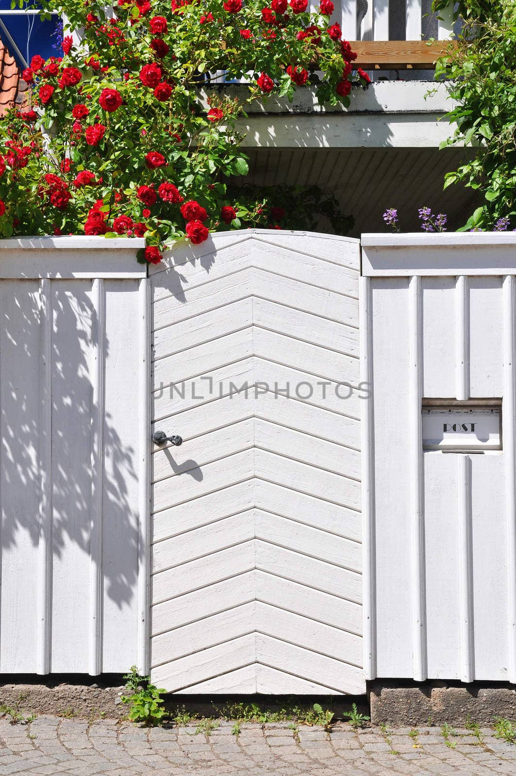 White wooden door leading in to a rosegarden.