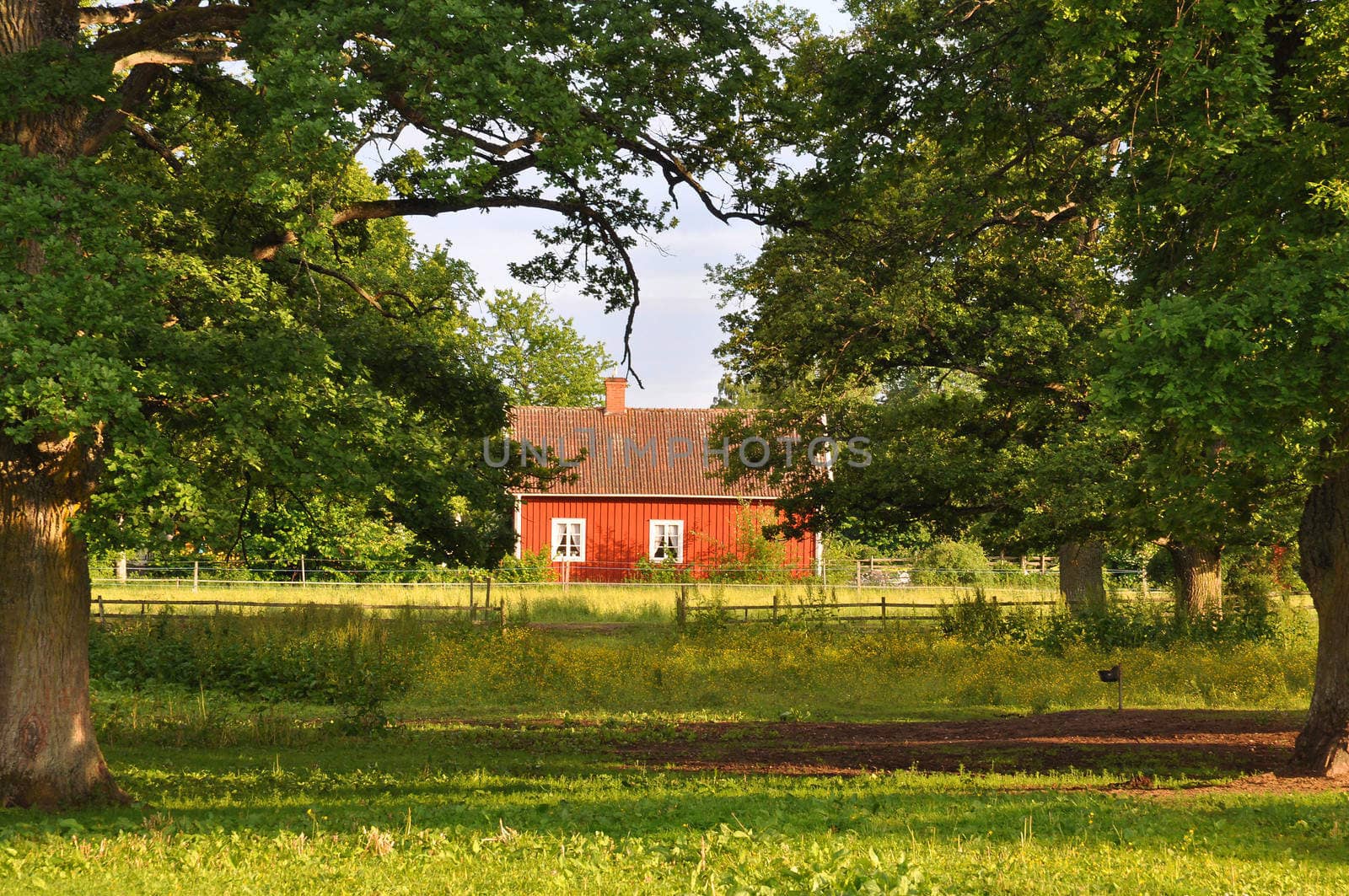 Idyllic cottage with trees and meadows.