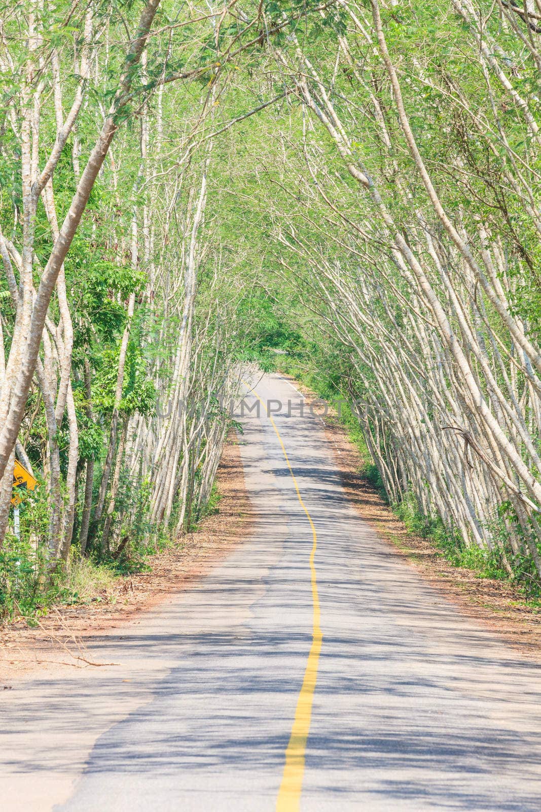 The road through the National Park, by jame_j@homail.com